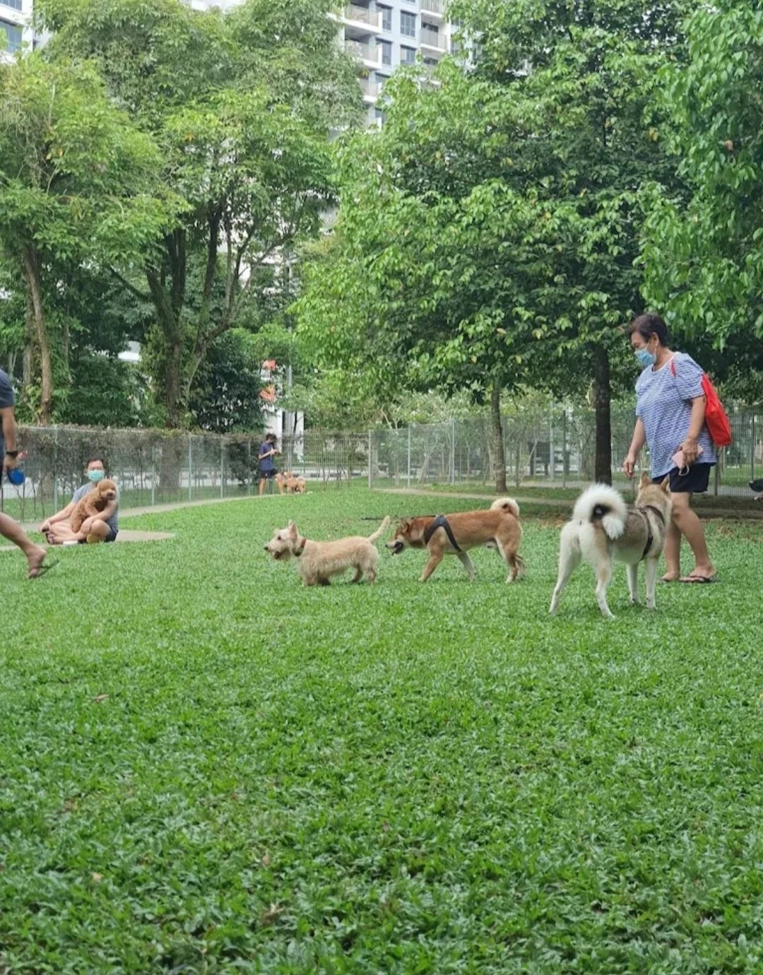 image-16