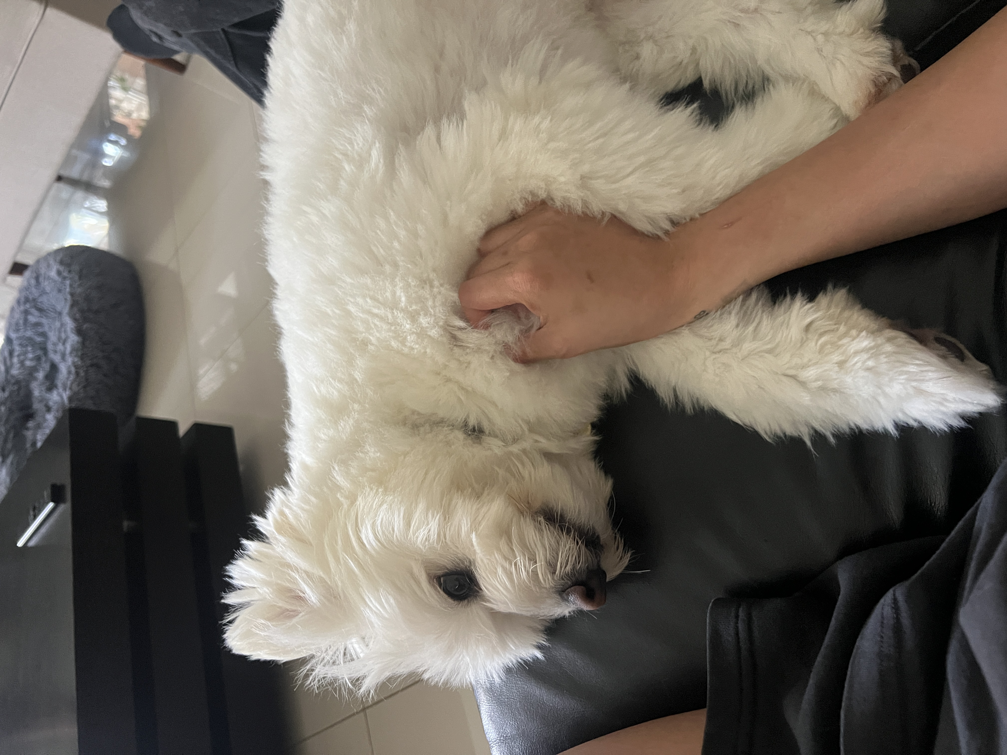 image-7