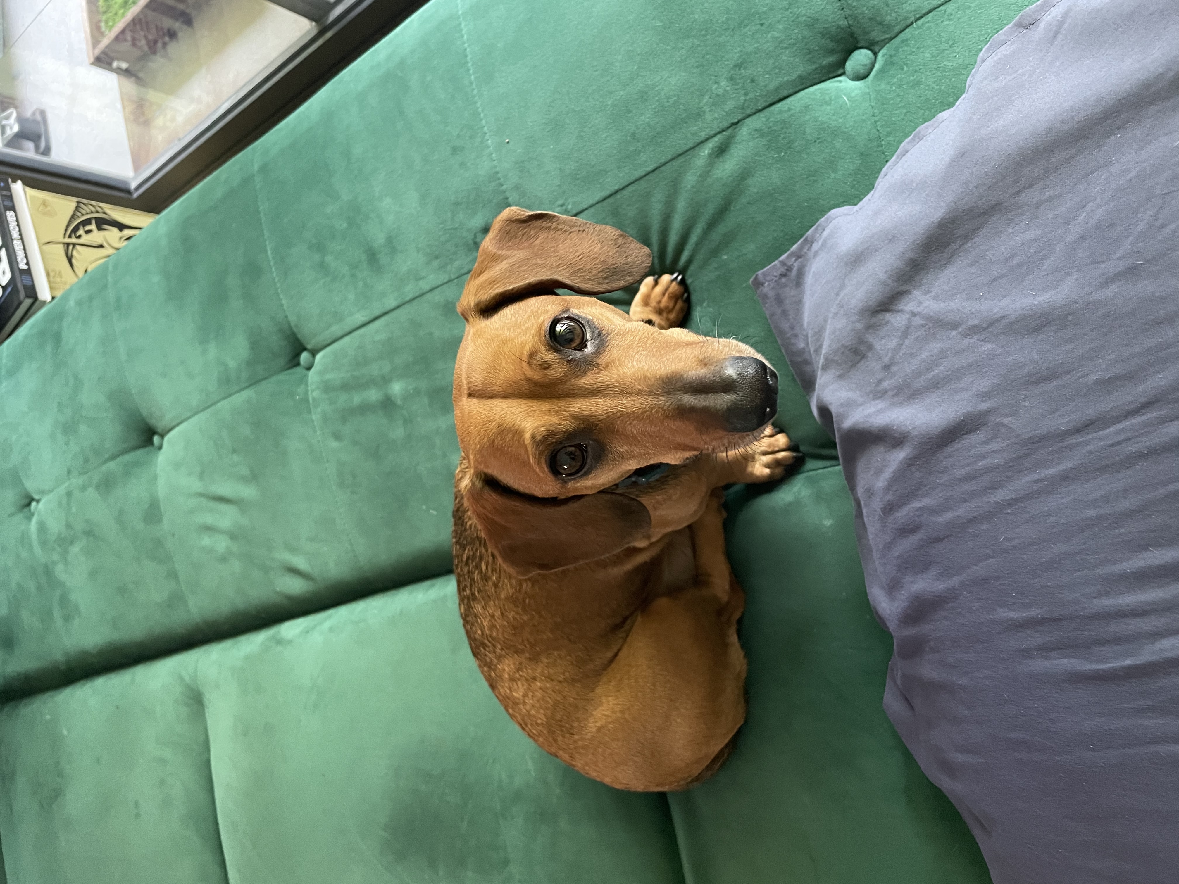 image-8