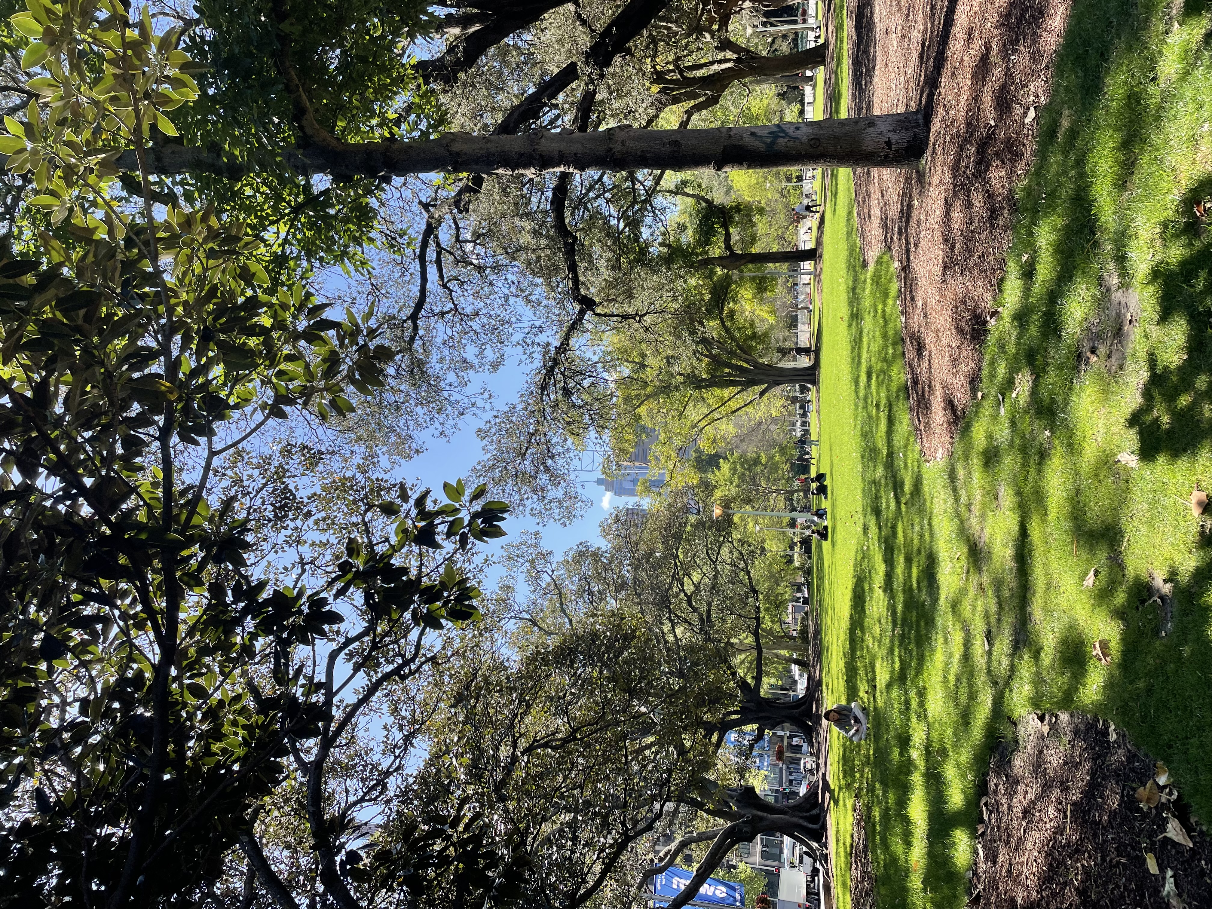 image-3