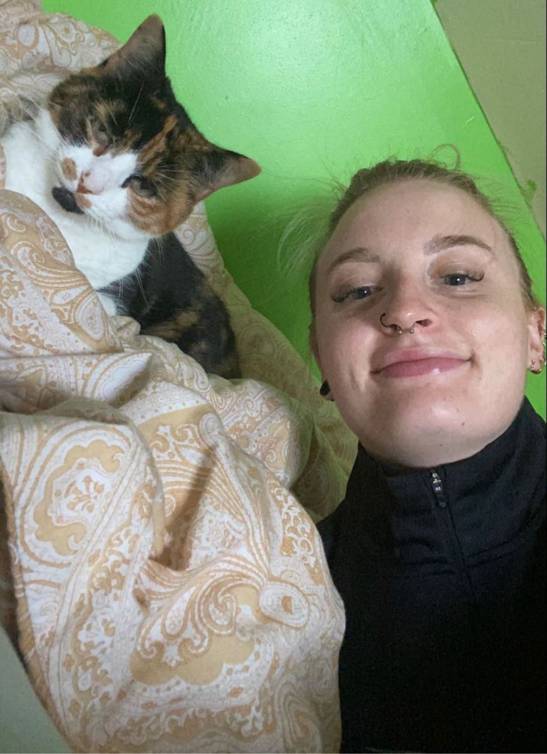 image-6