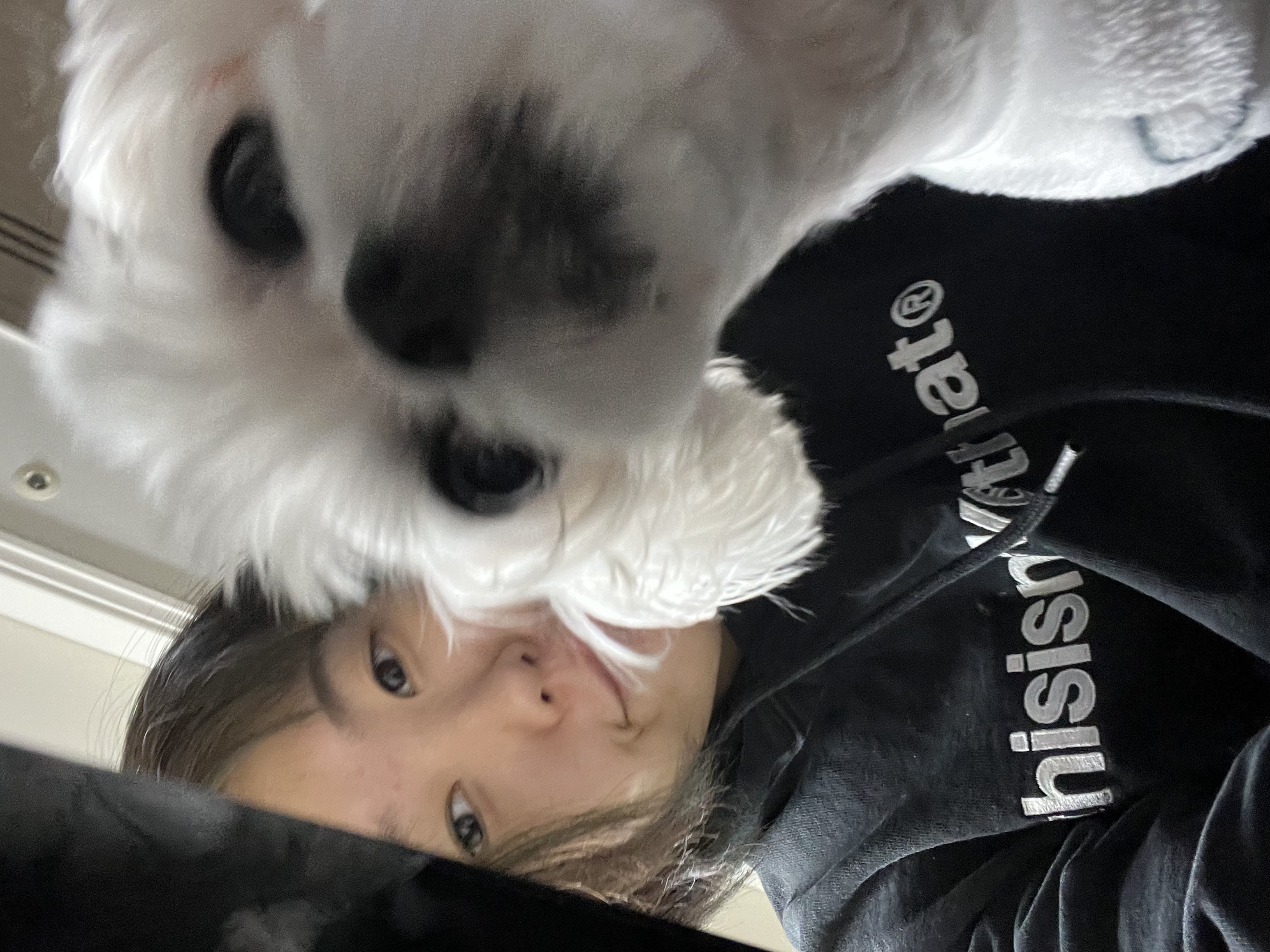 image-6