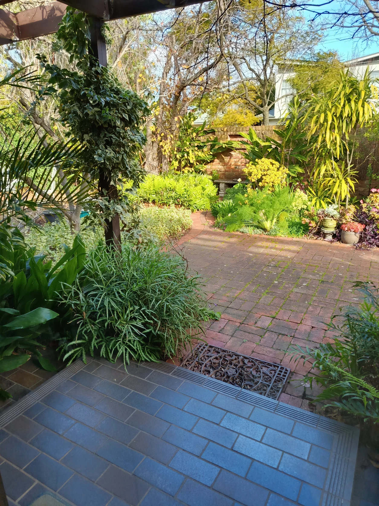 image-10