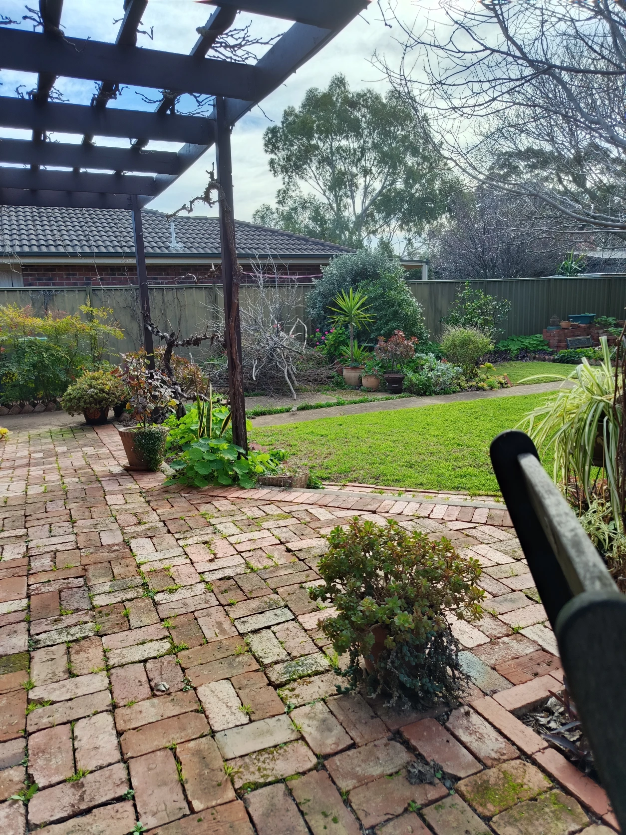 image-11