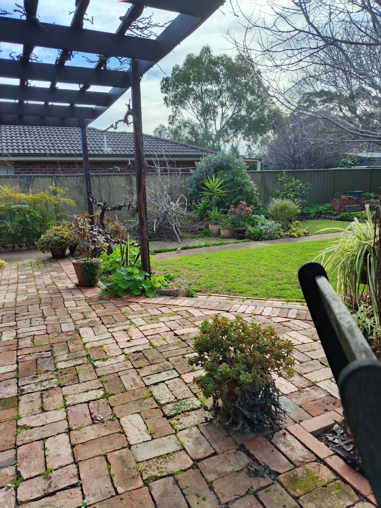 image-11