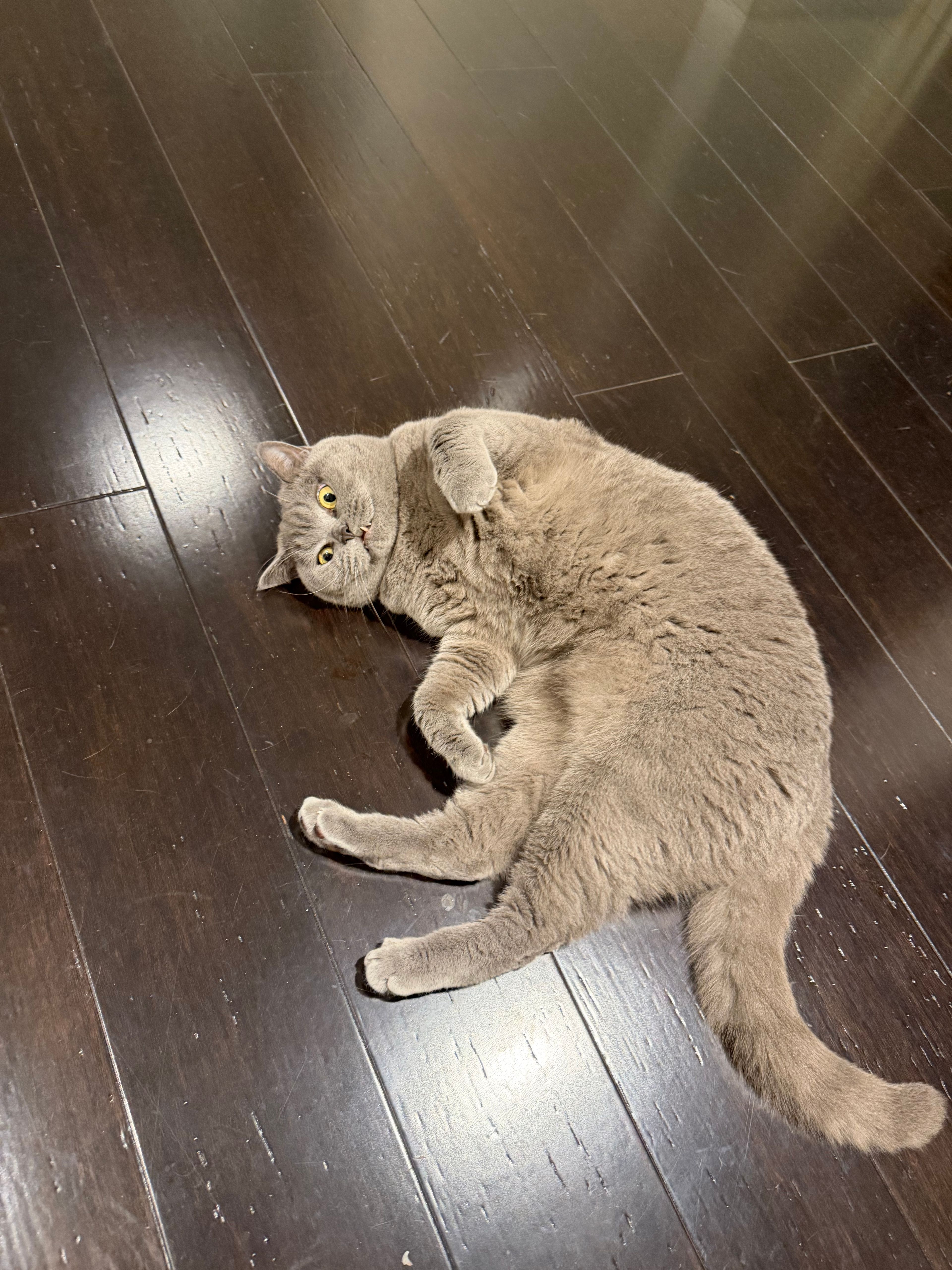 image-16