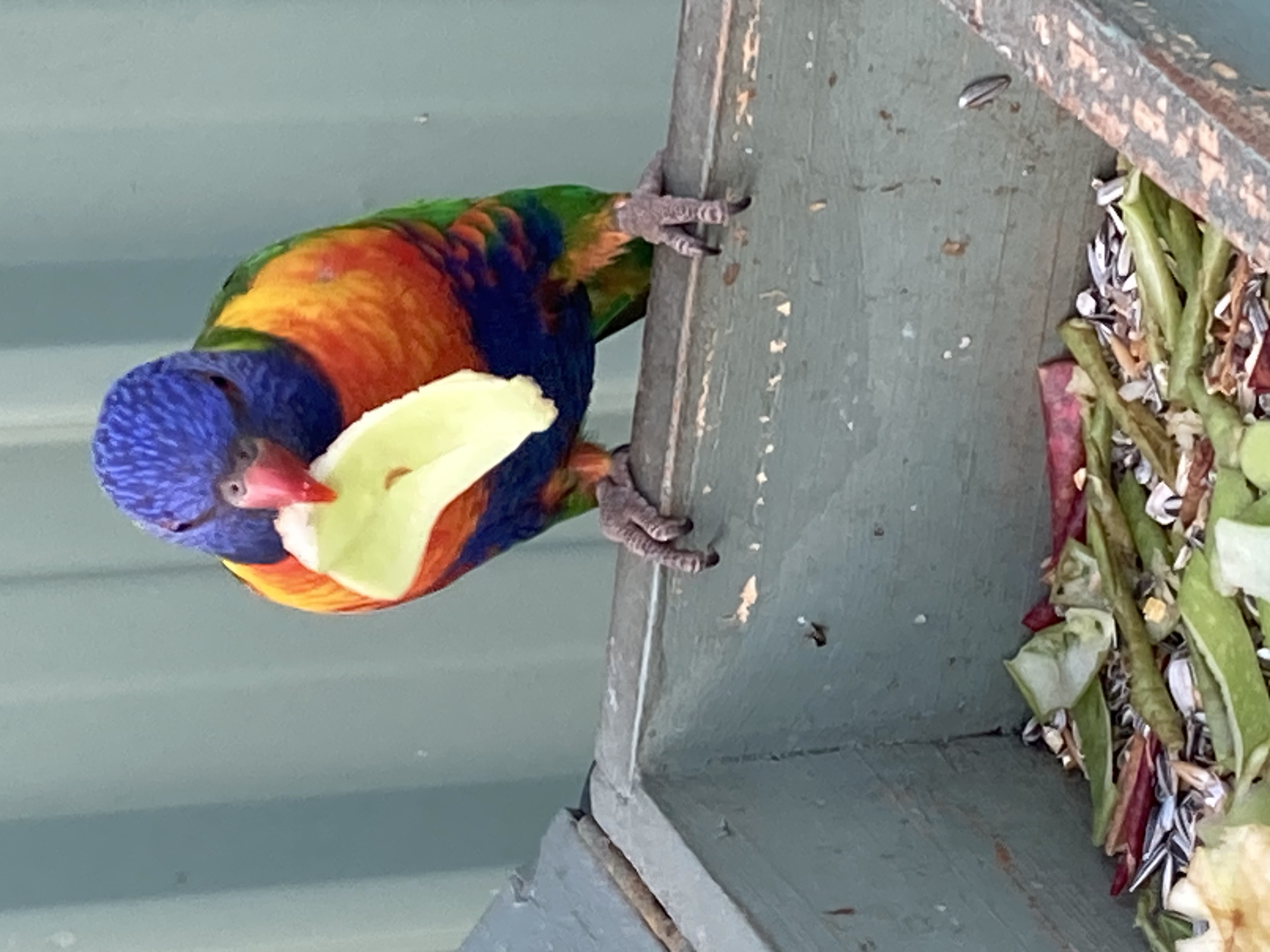 image-6