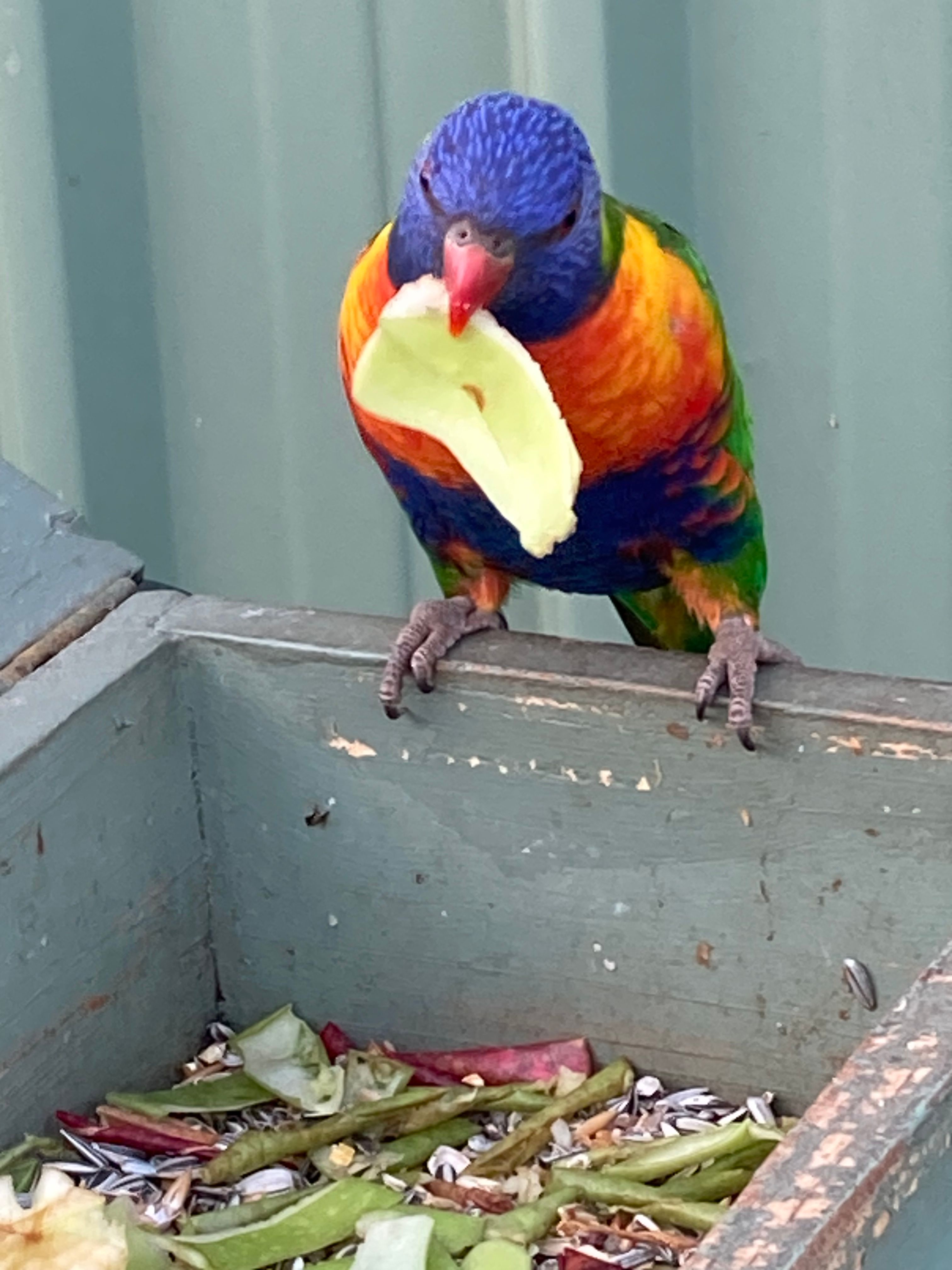 image-6