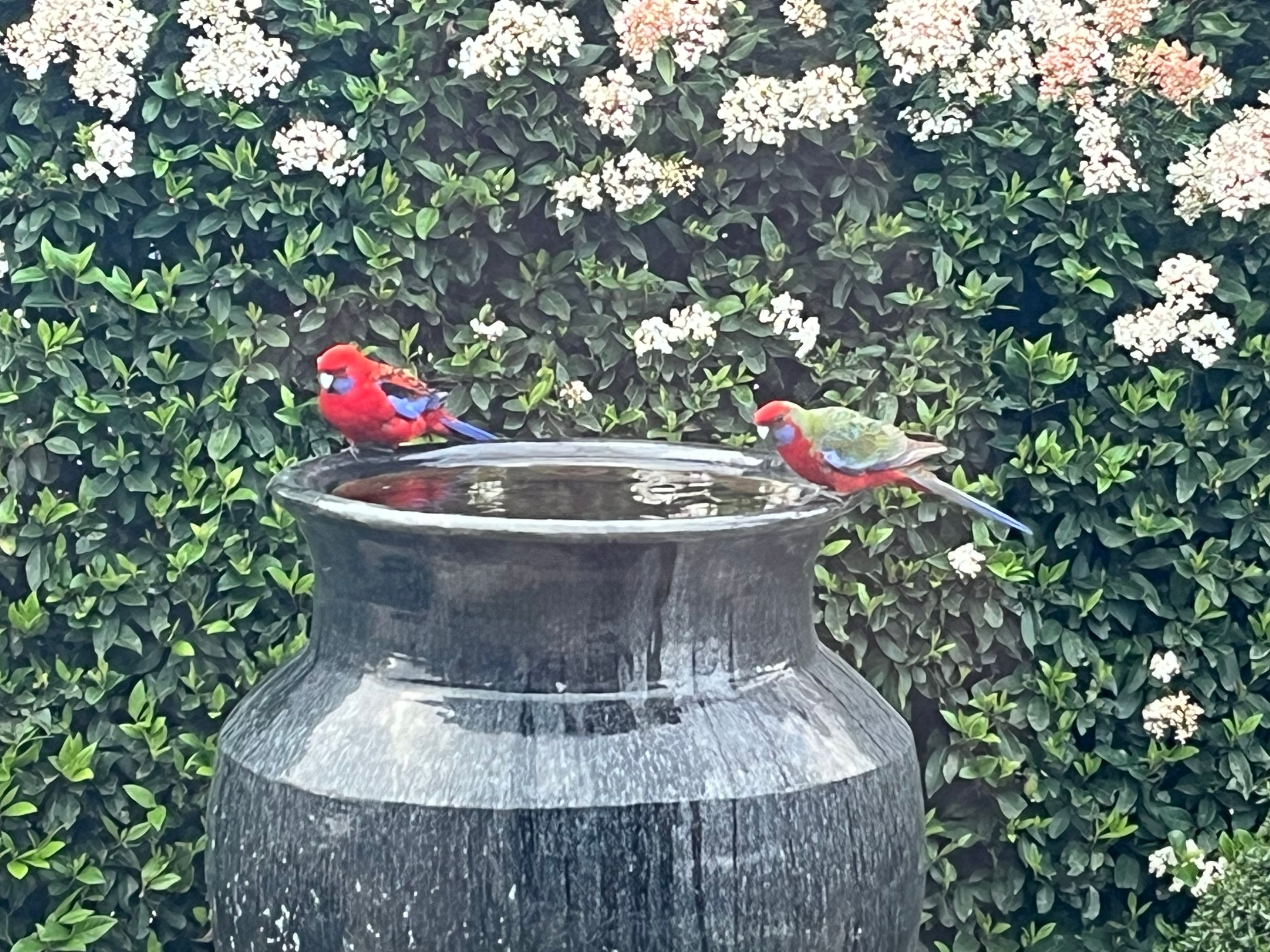 image-3