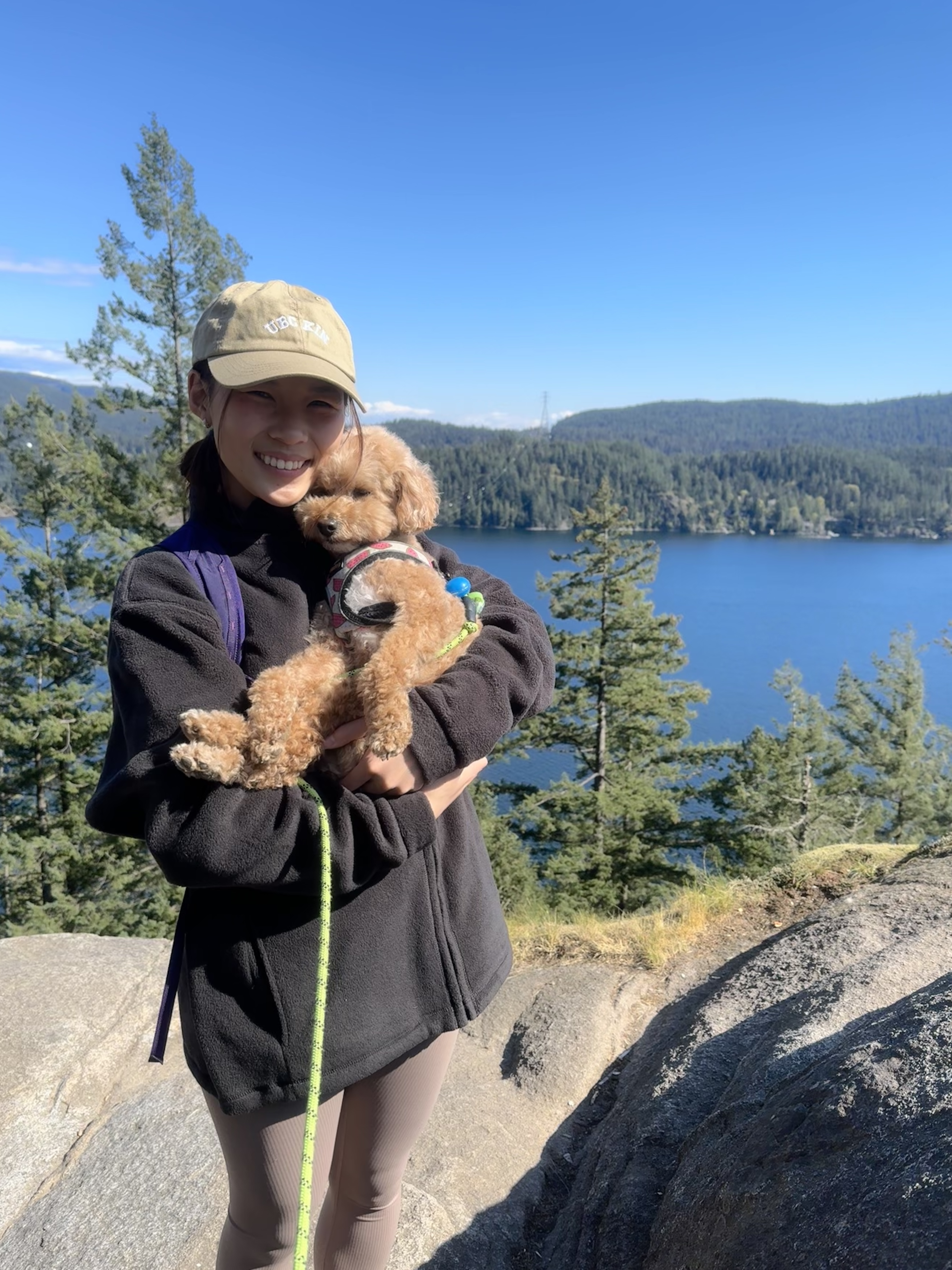 image-5