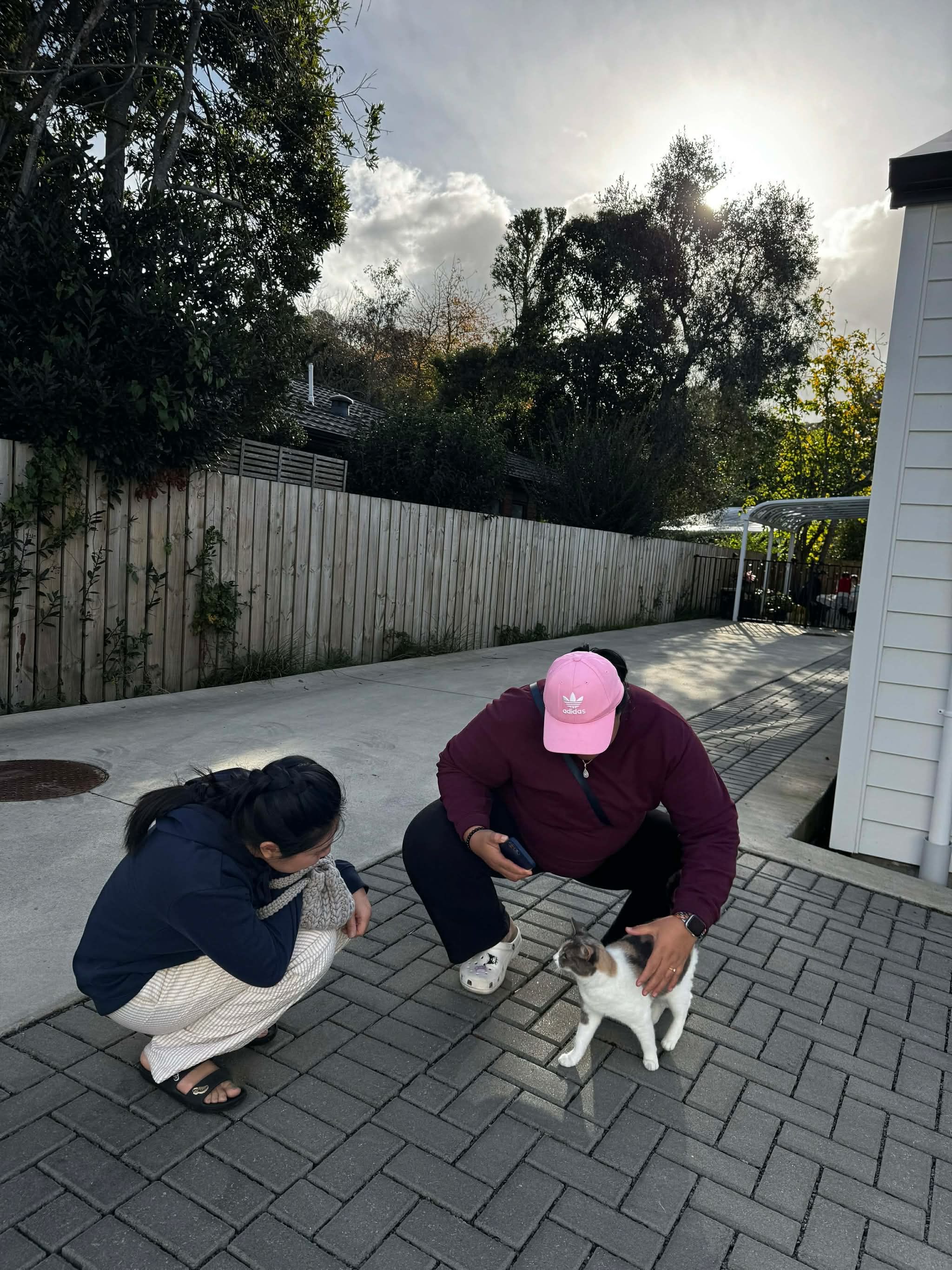 image-15