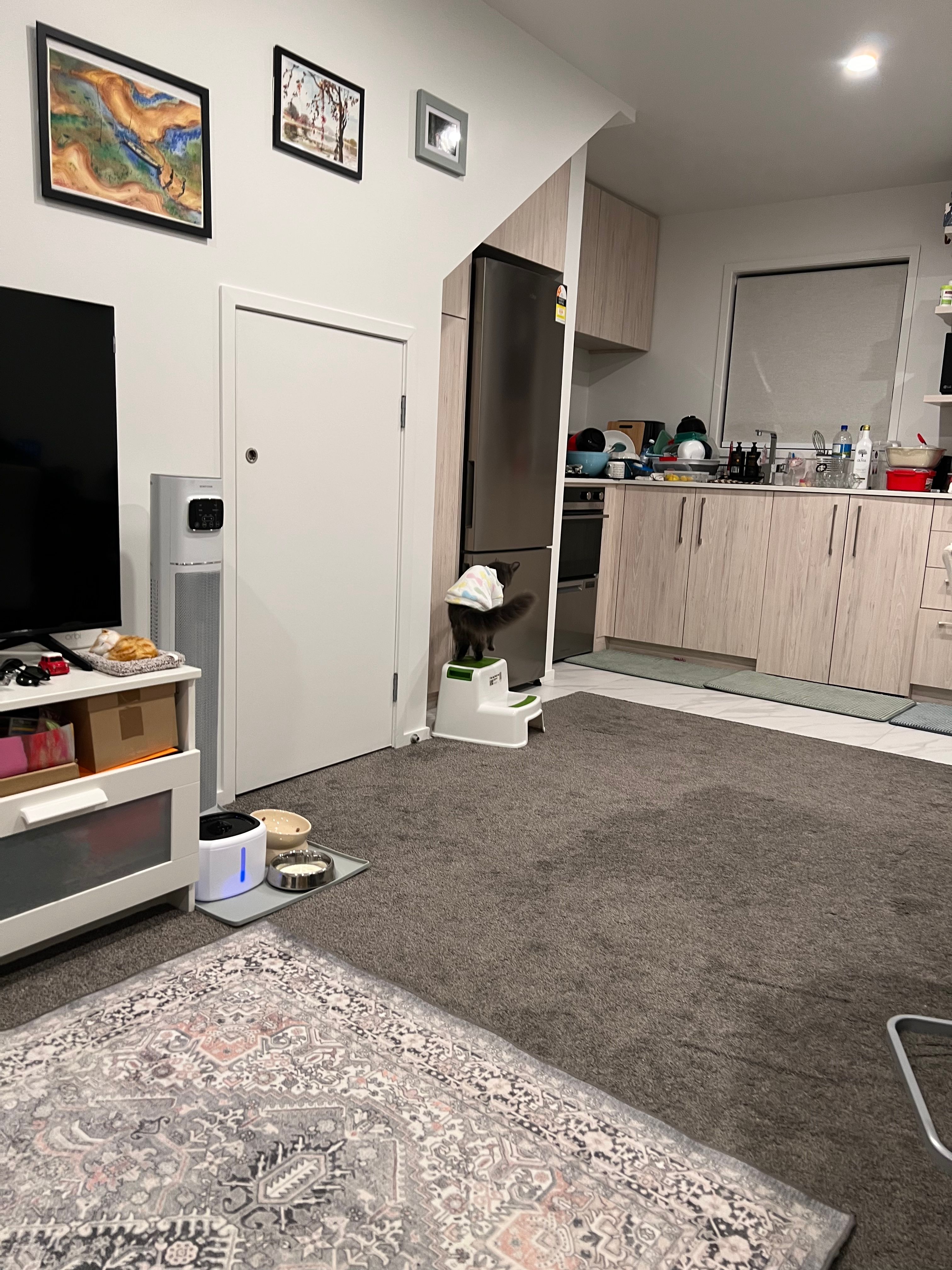 image-19
