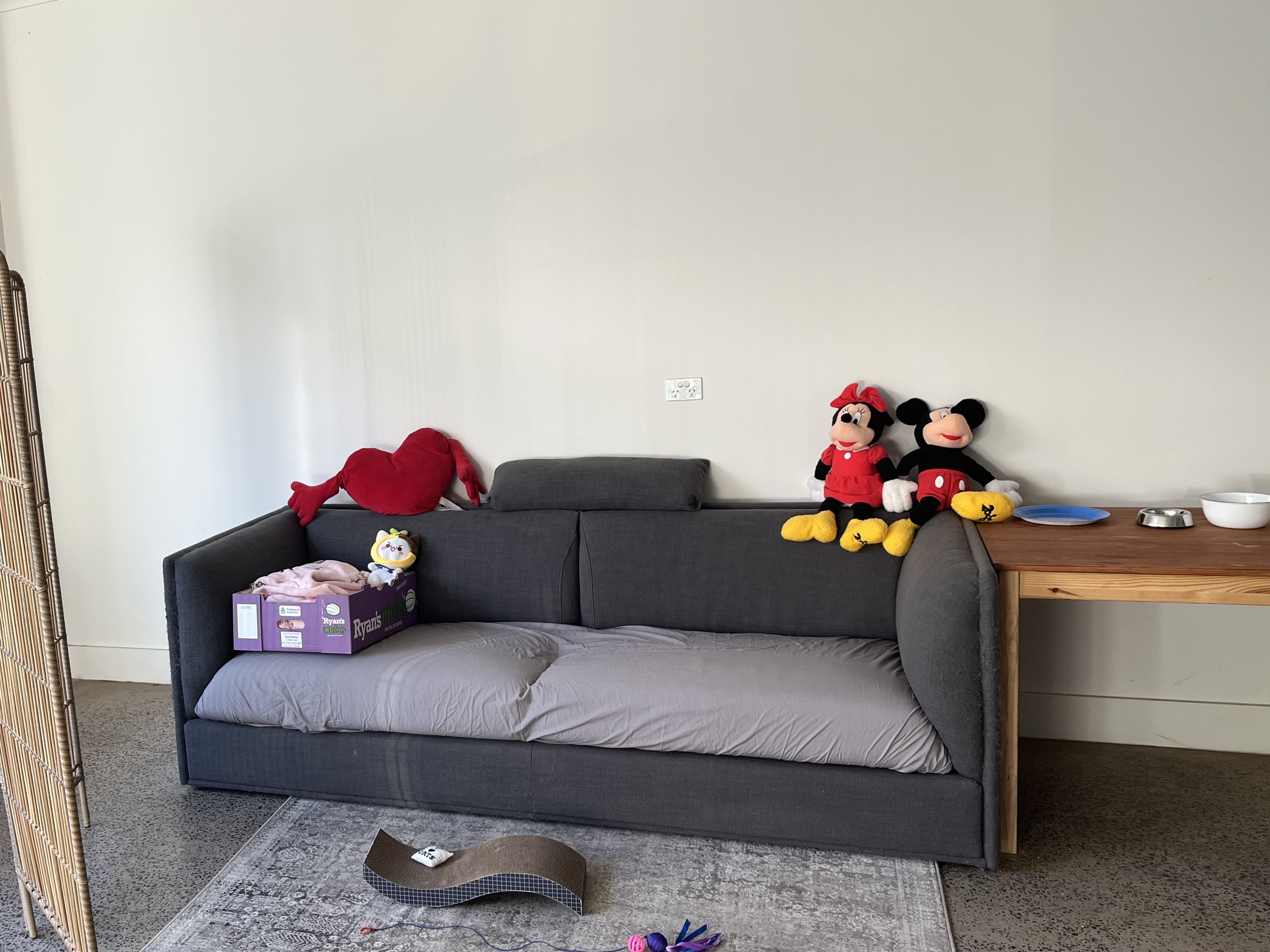 image-11