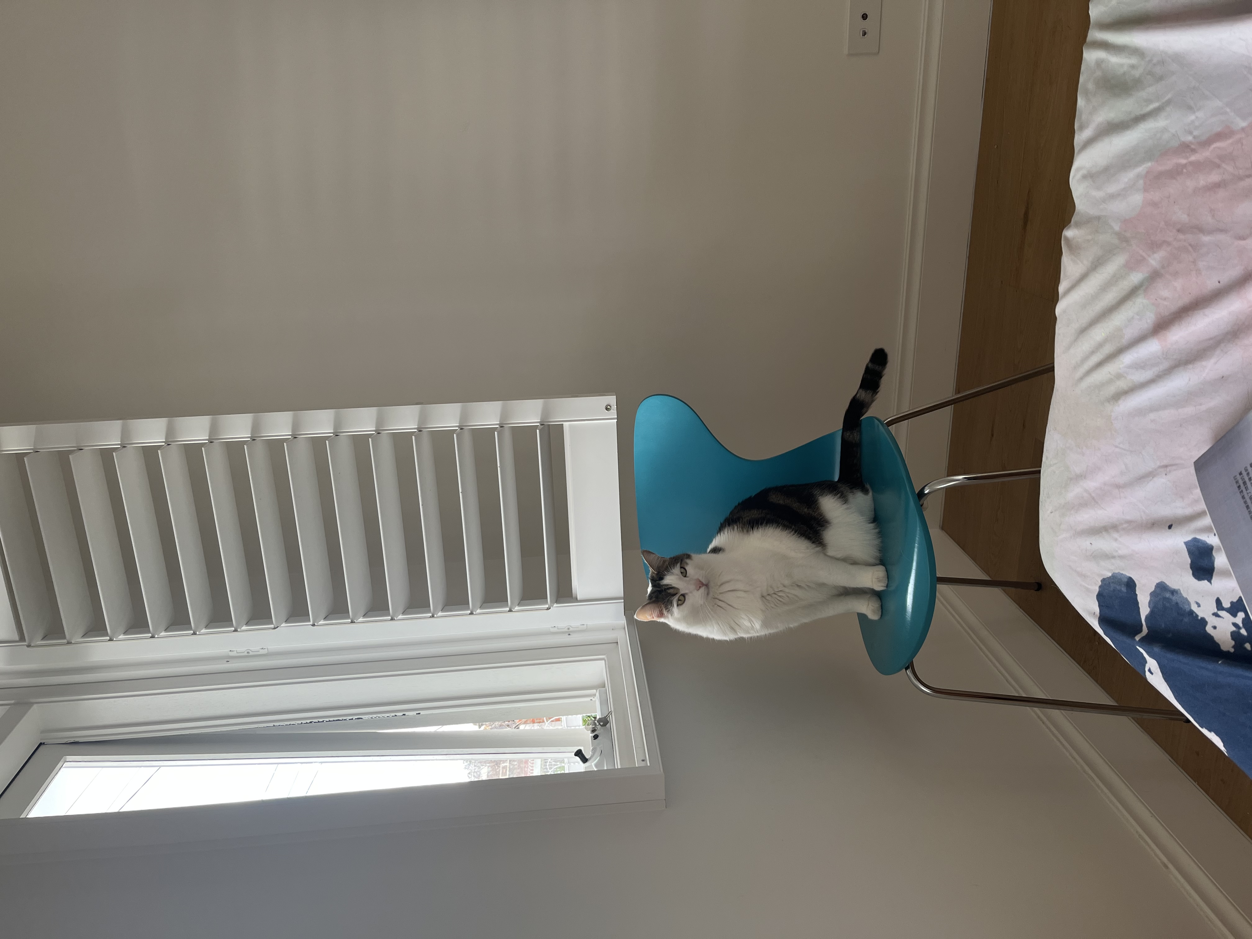 image-13