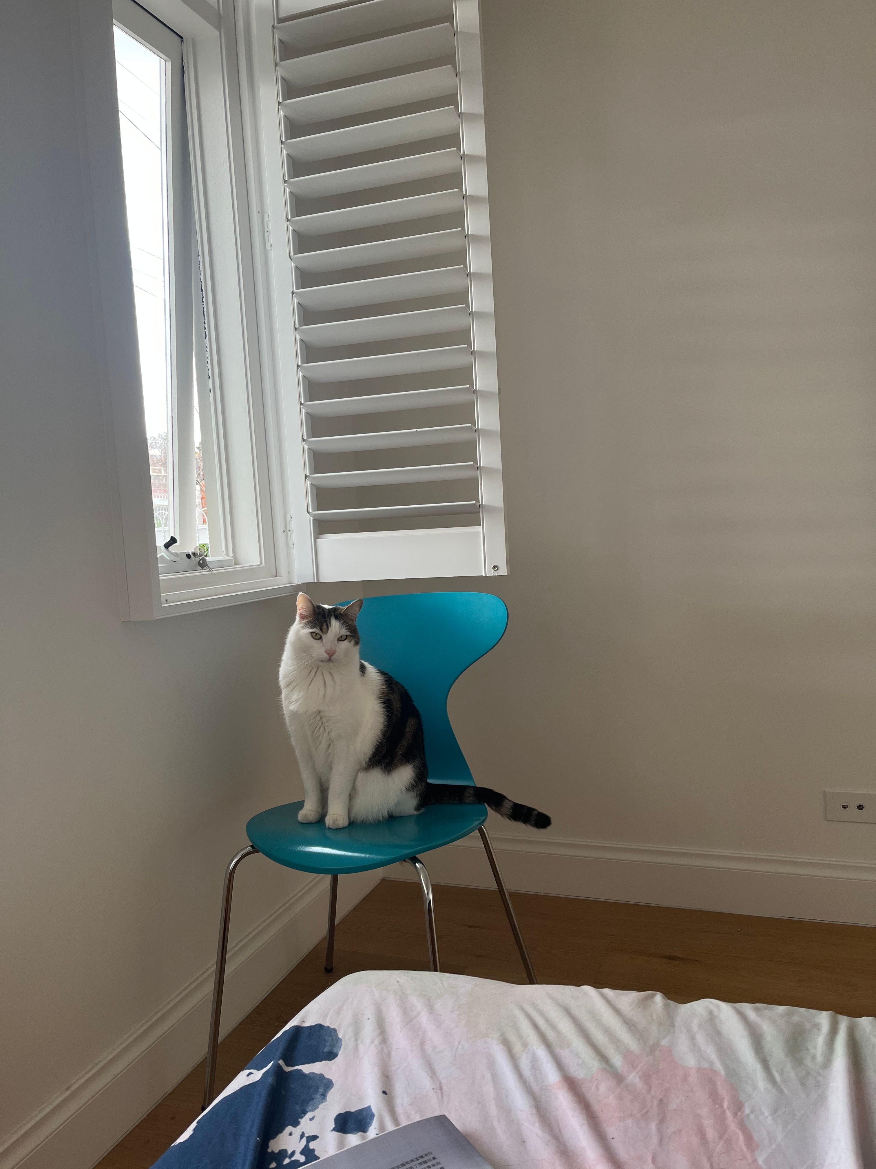 image-13