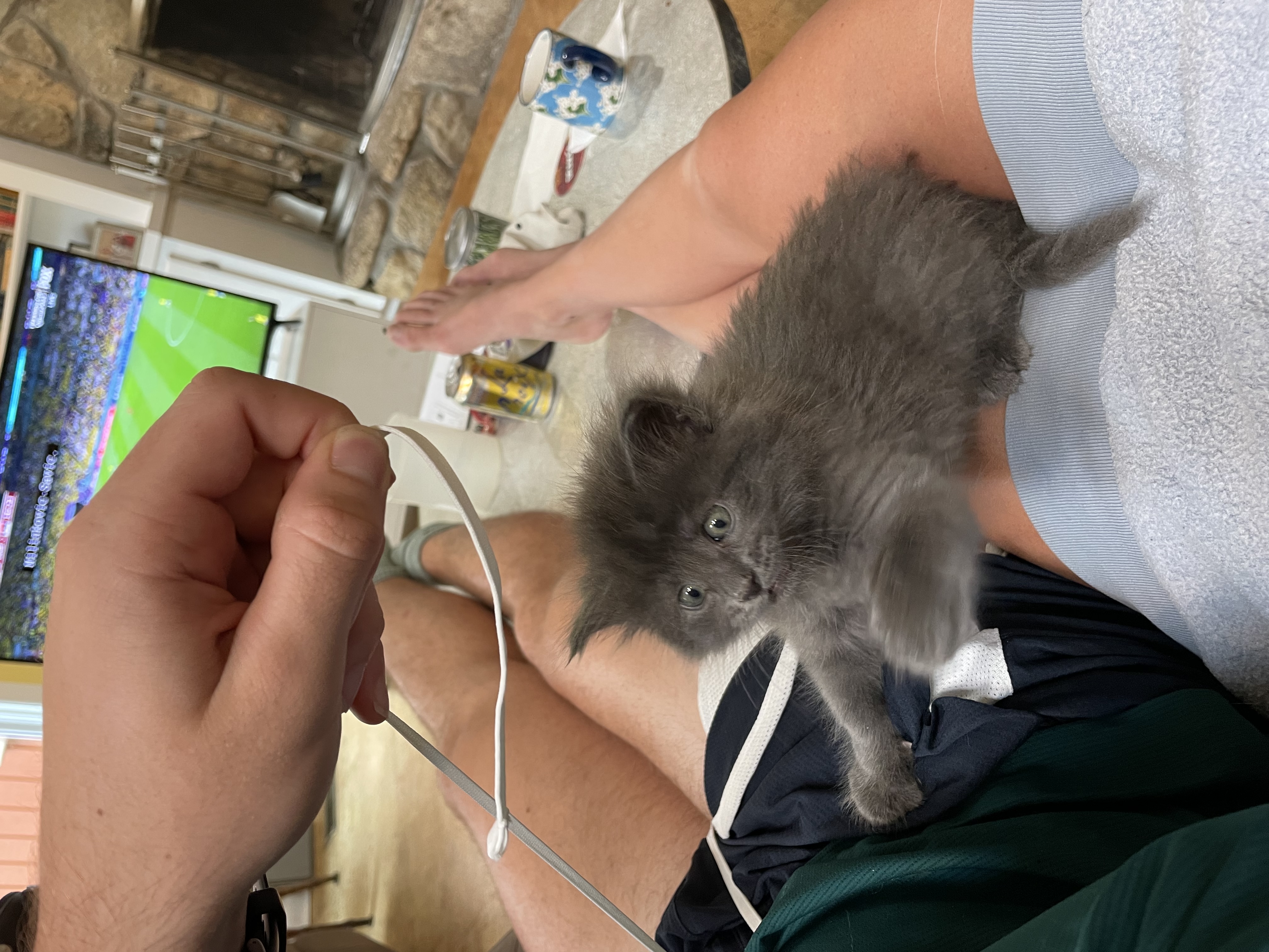 image-6