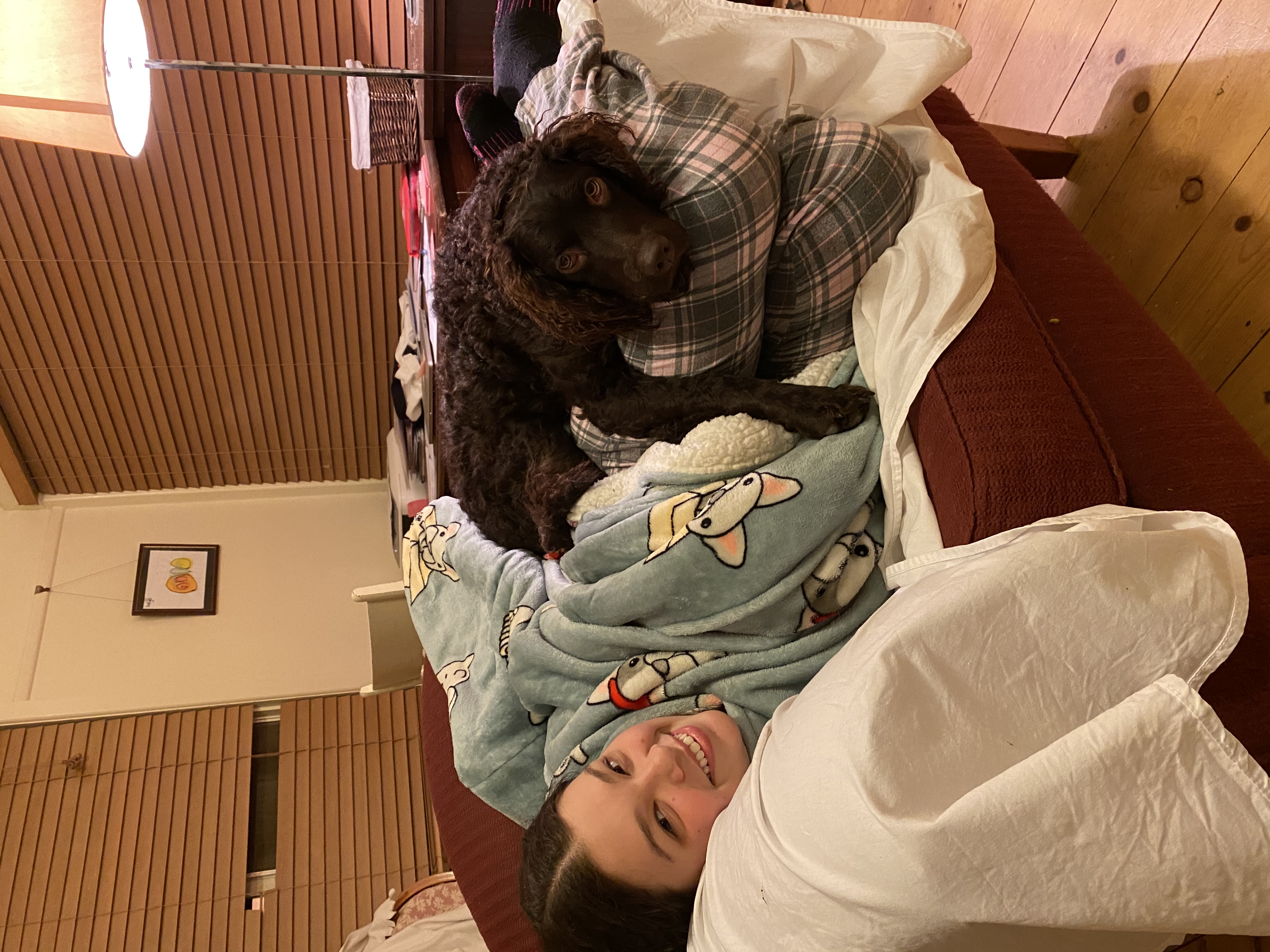image-2