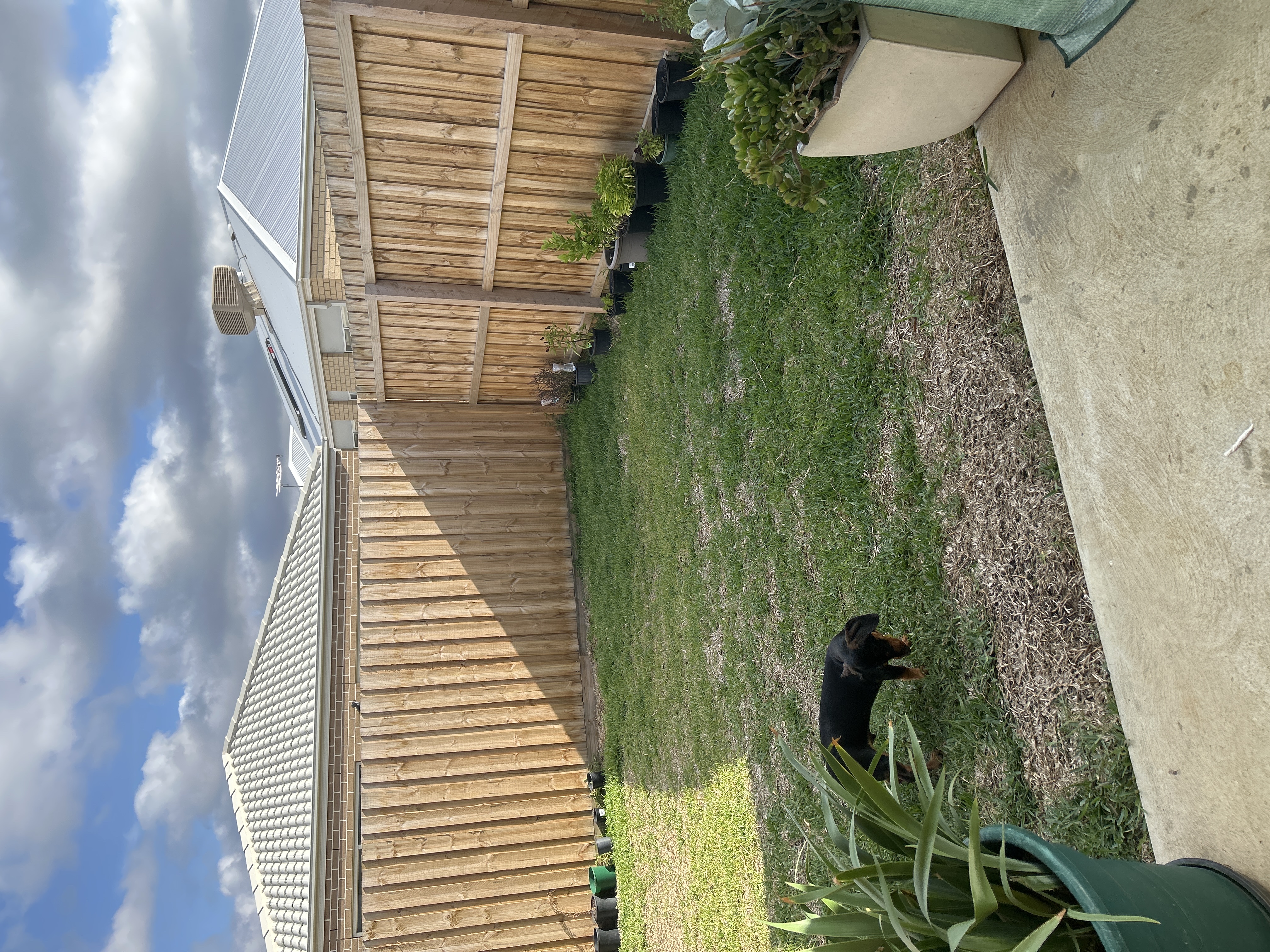 image-14