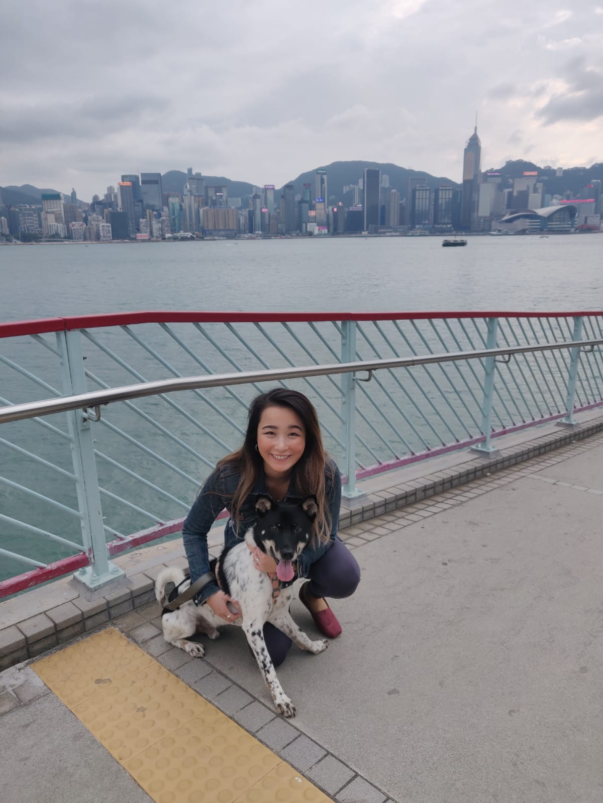 image-7