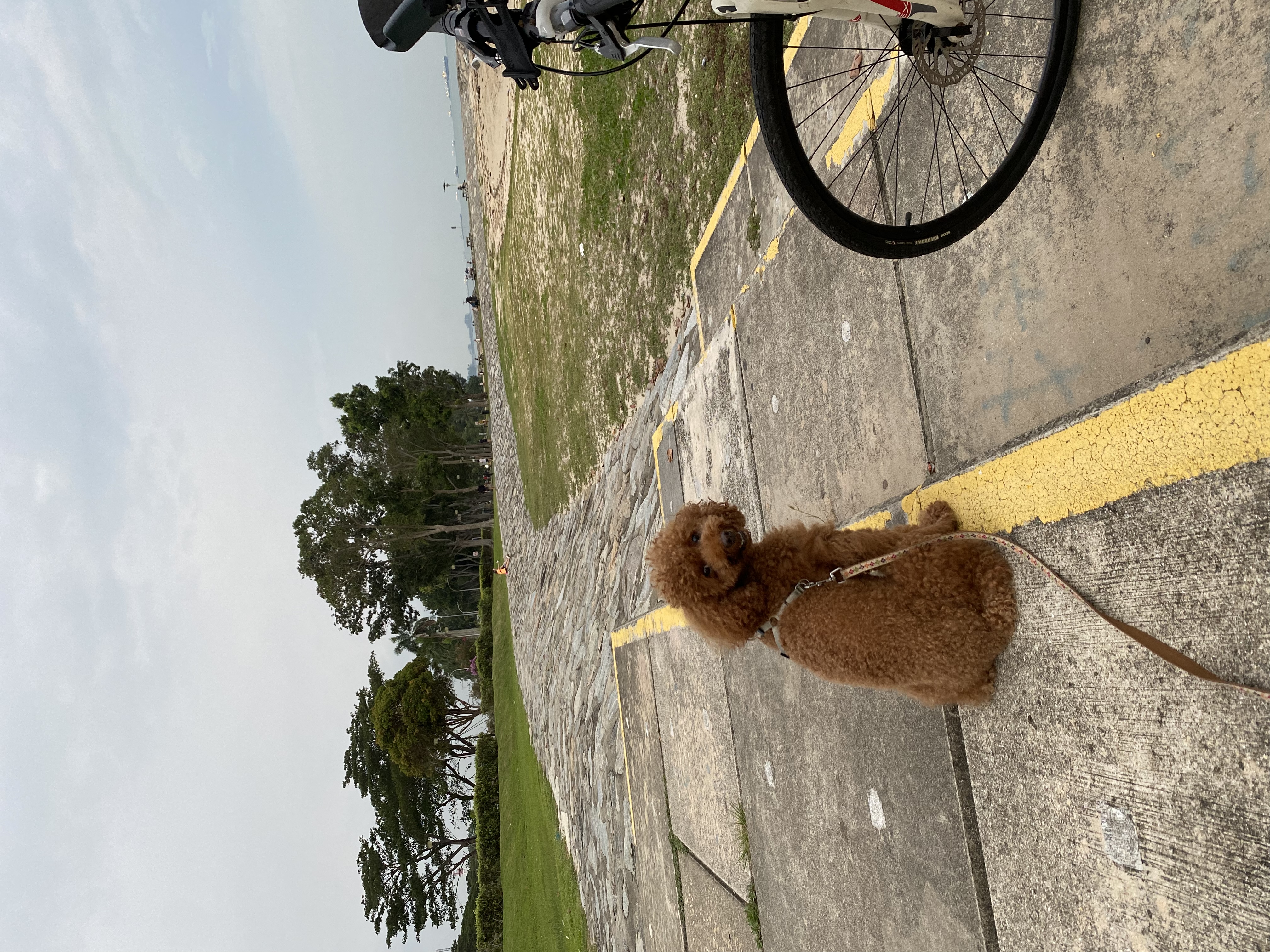 image-8