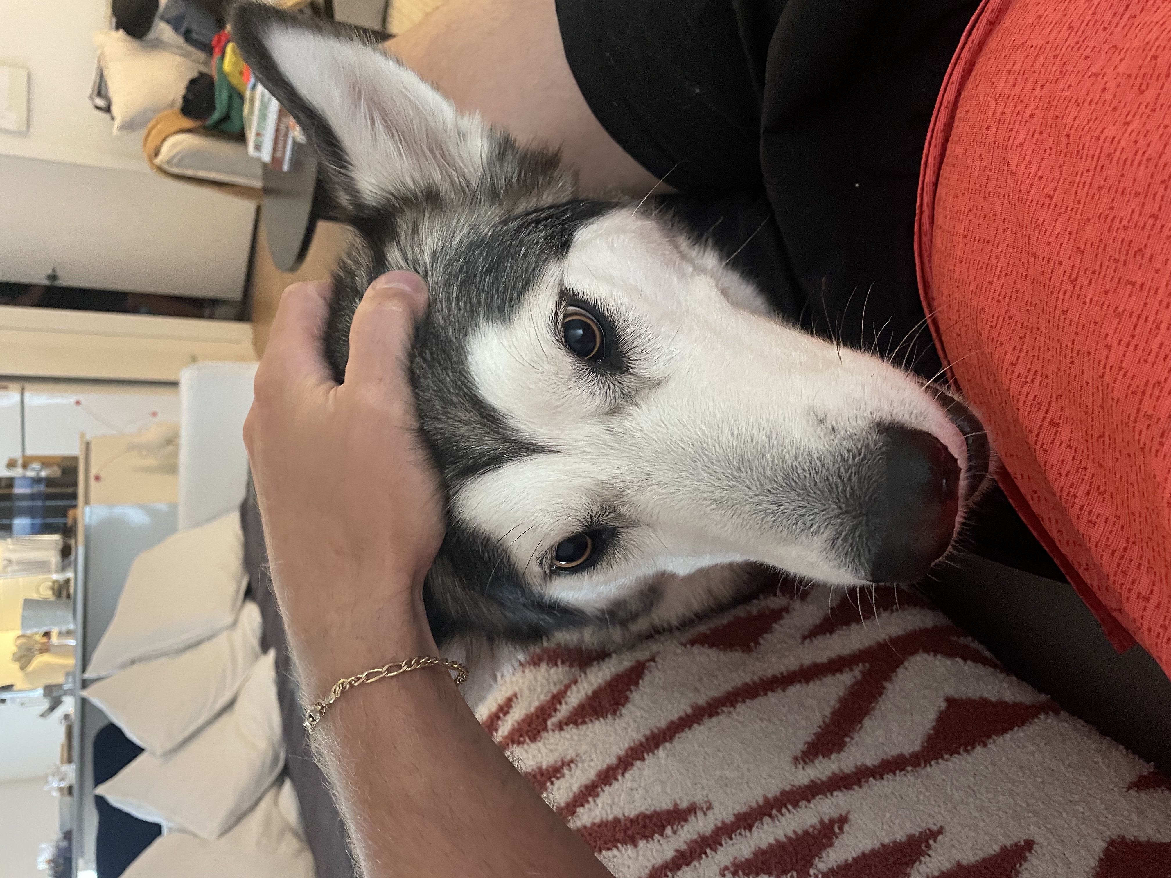 image-6