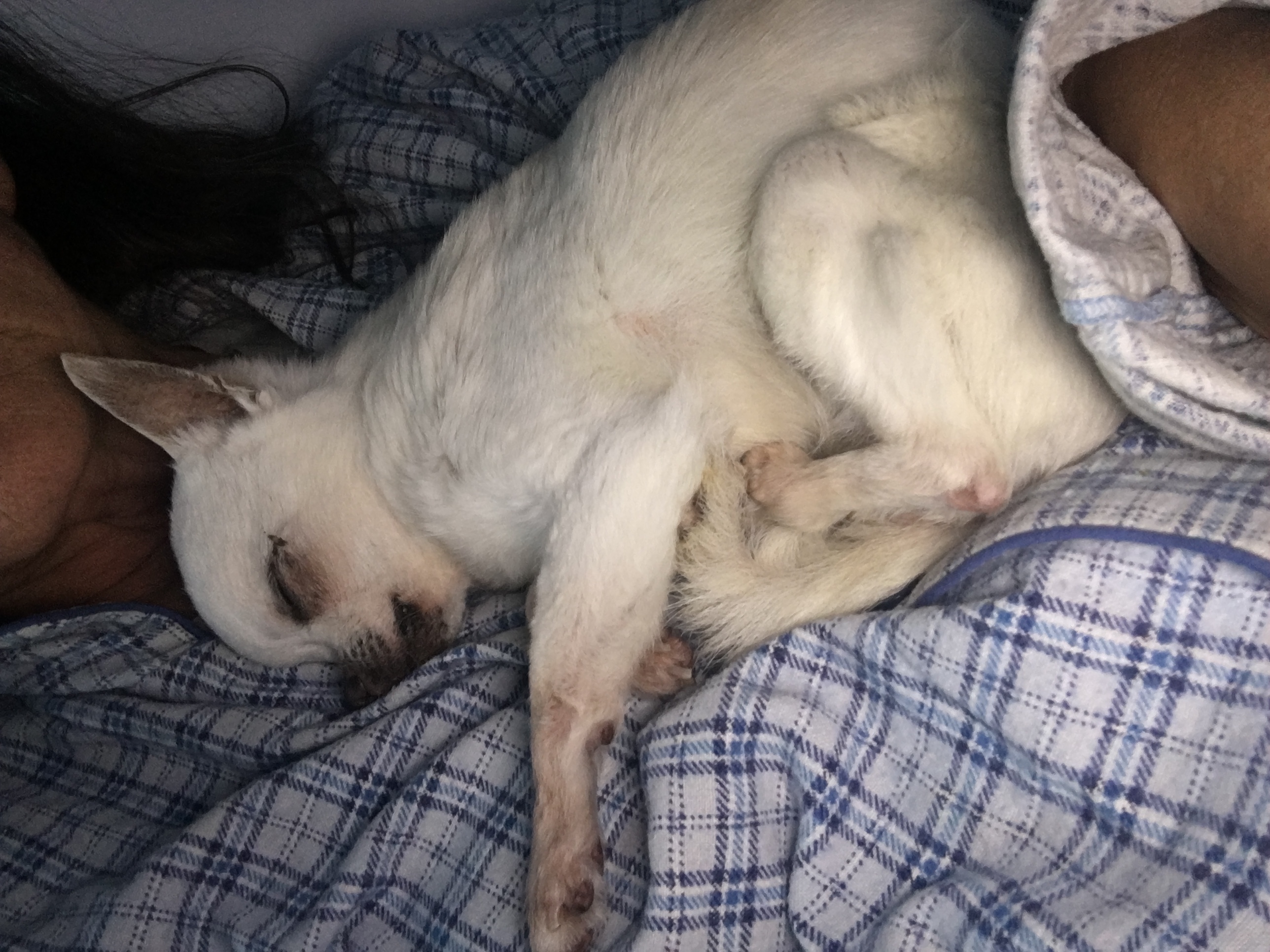 image-8