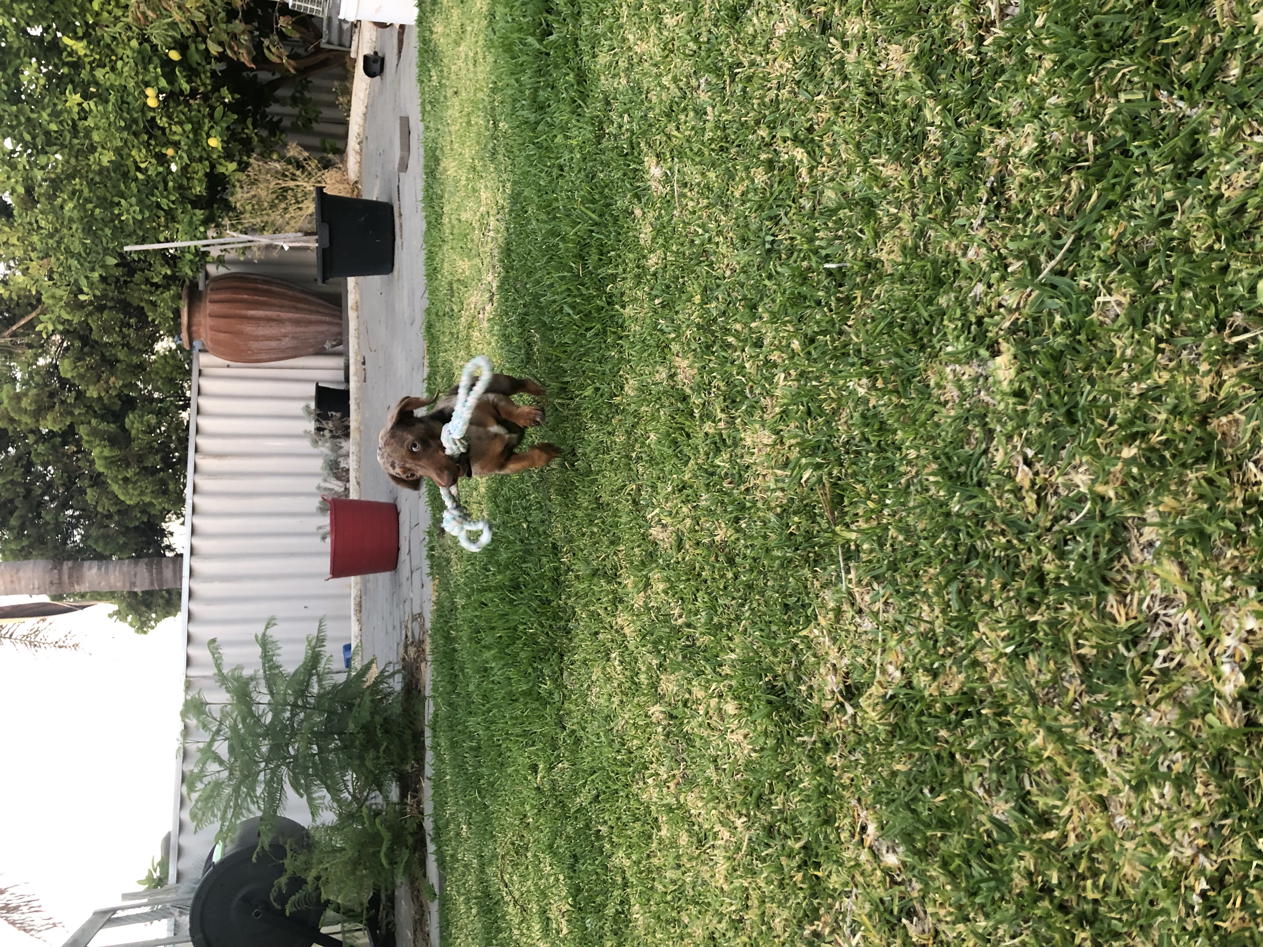image-9