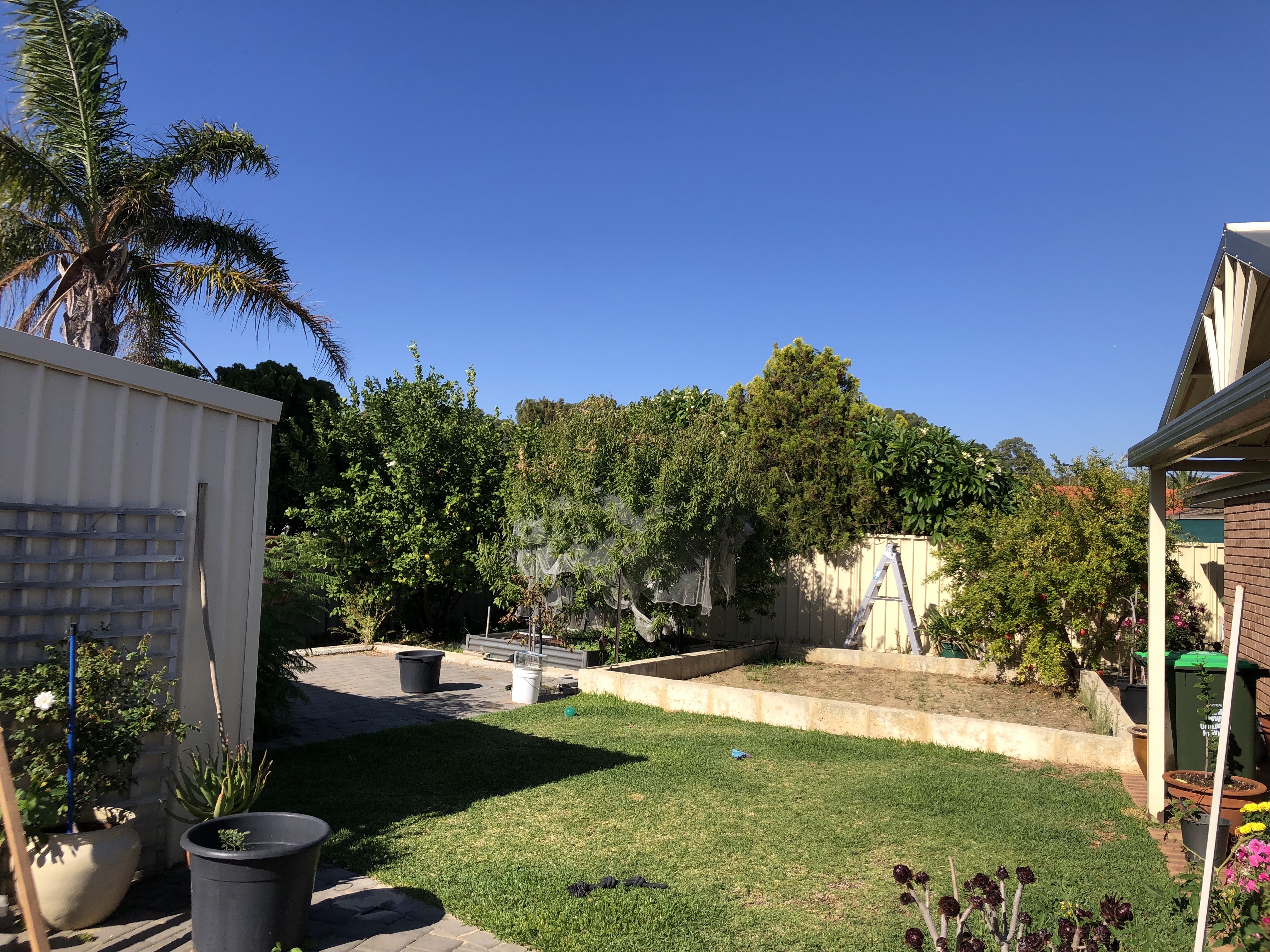 image-11