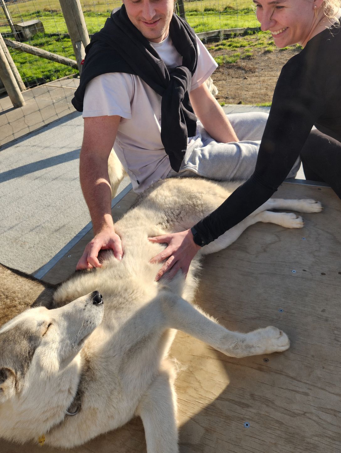 image-7