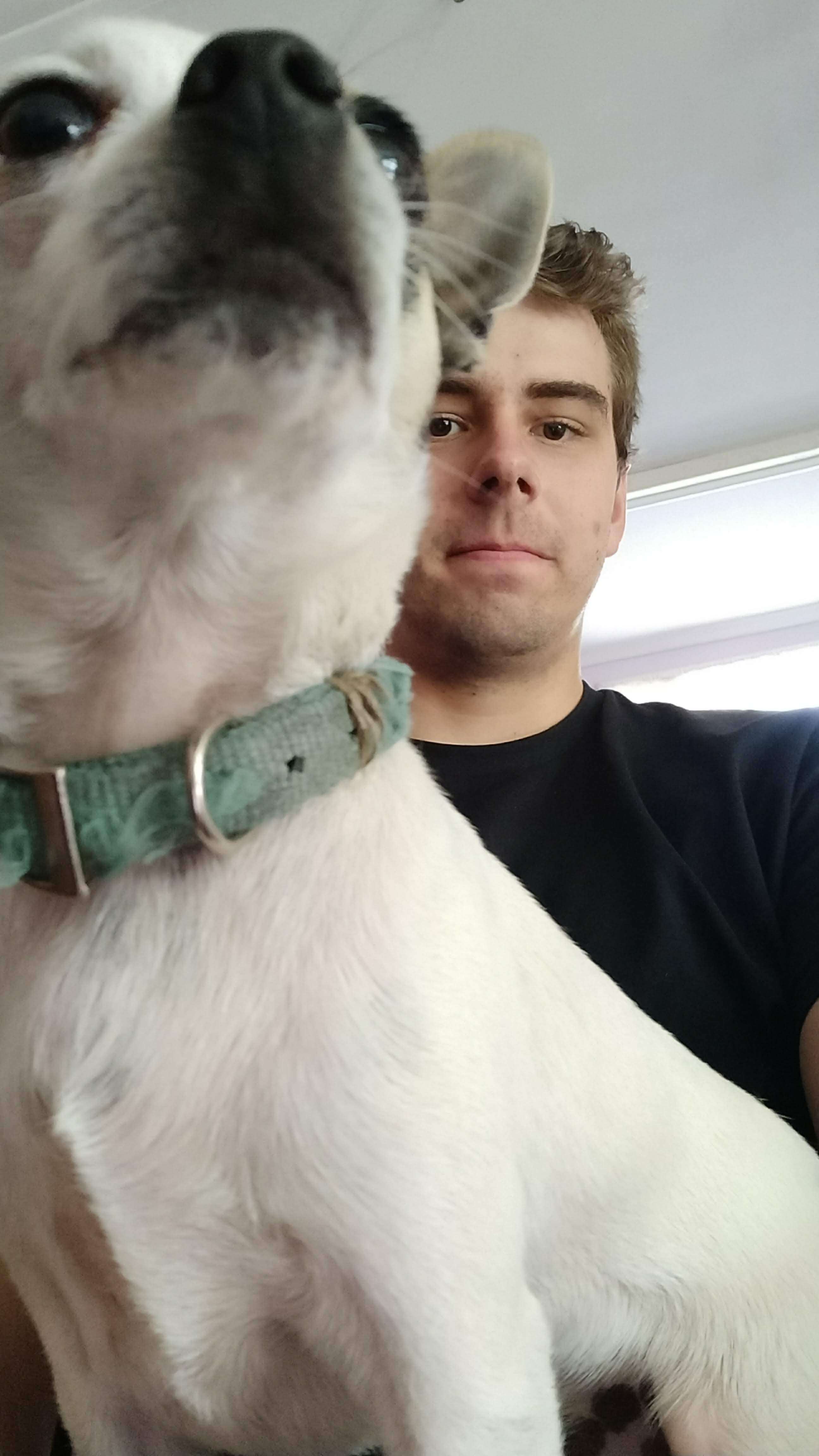 image-8