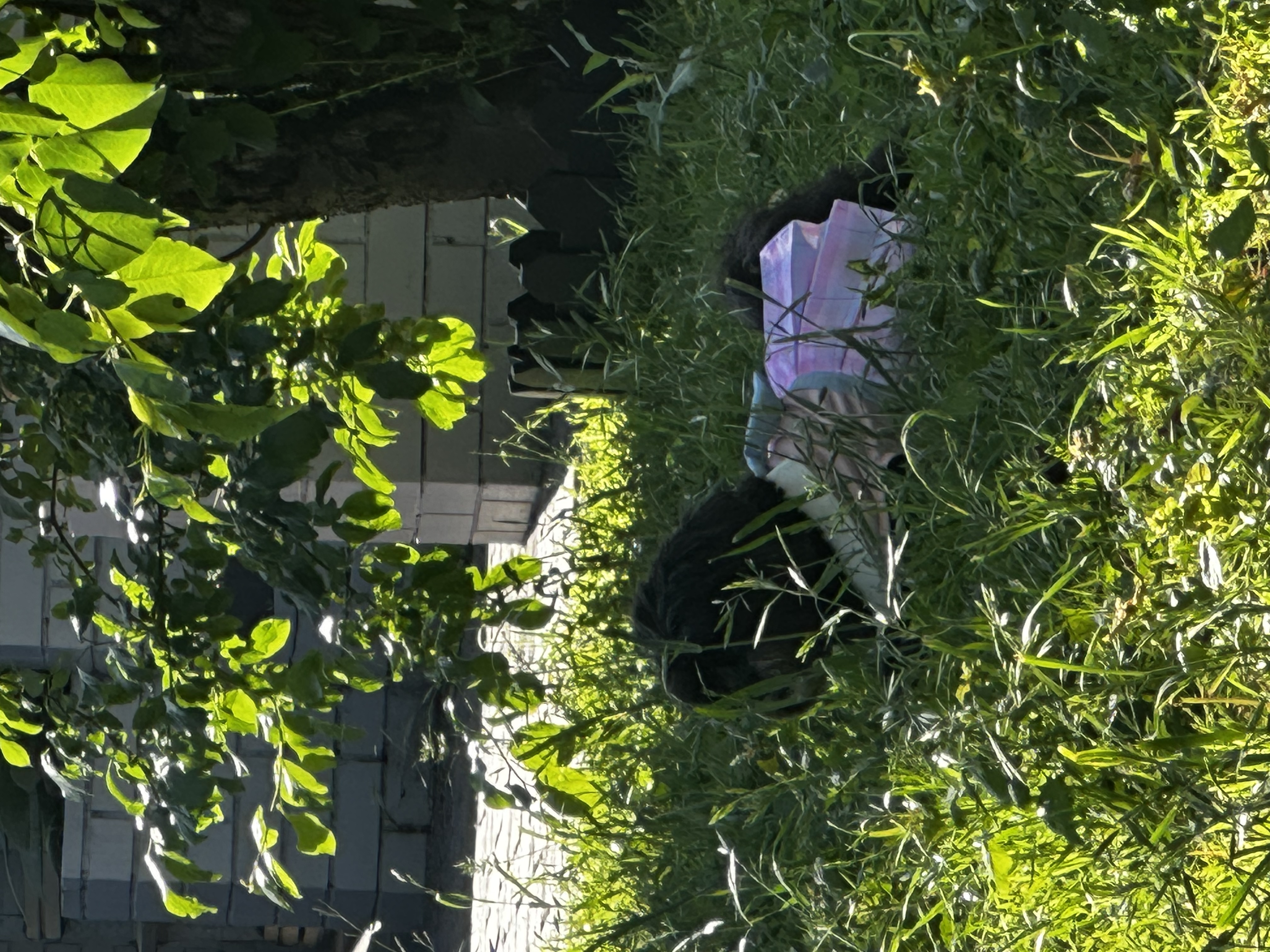 image-7