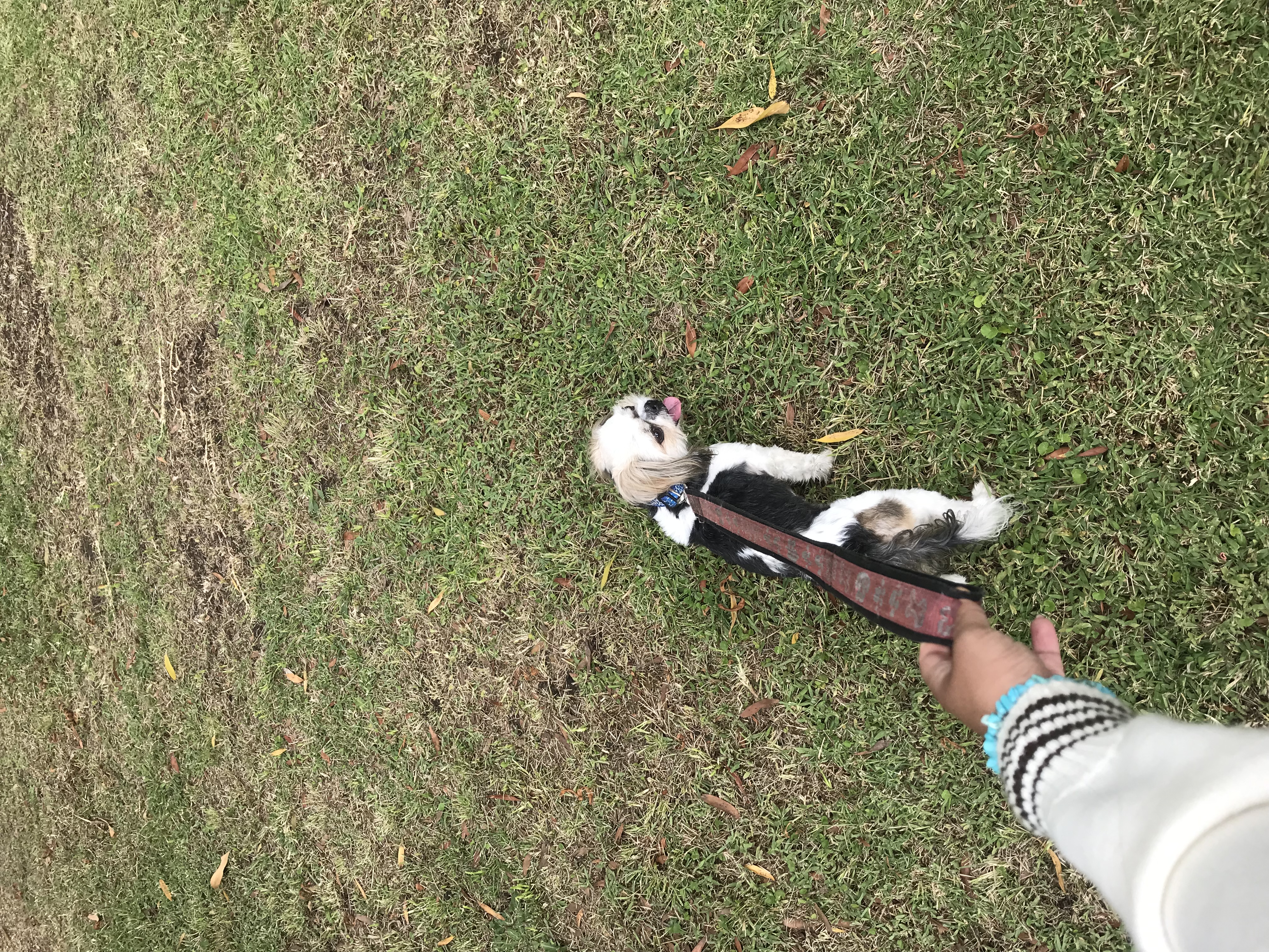 image-15