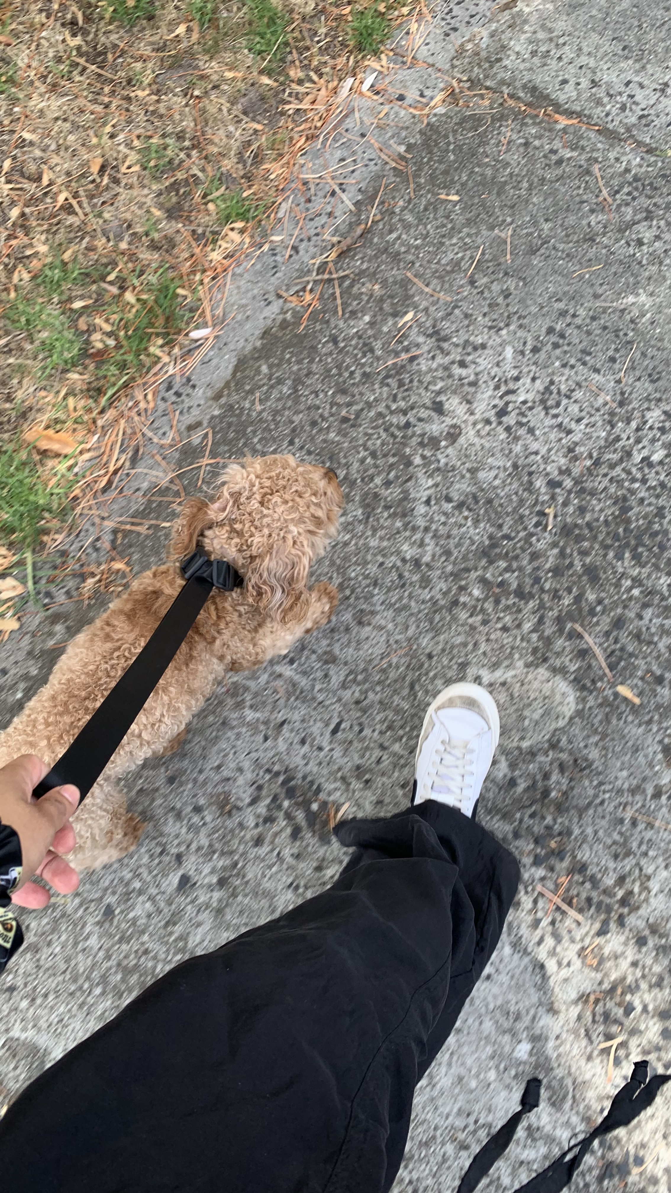 image-6