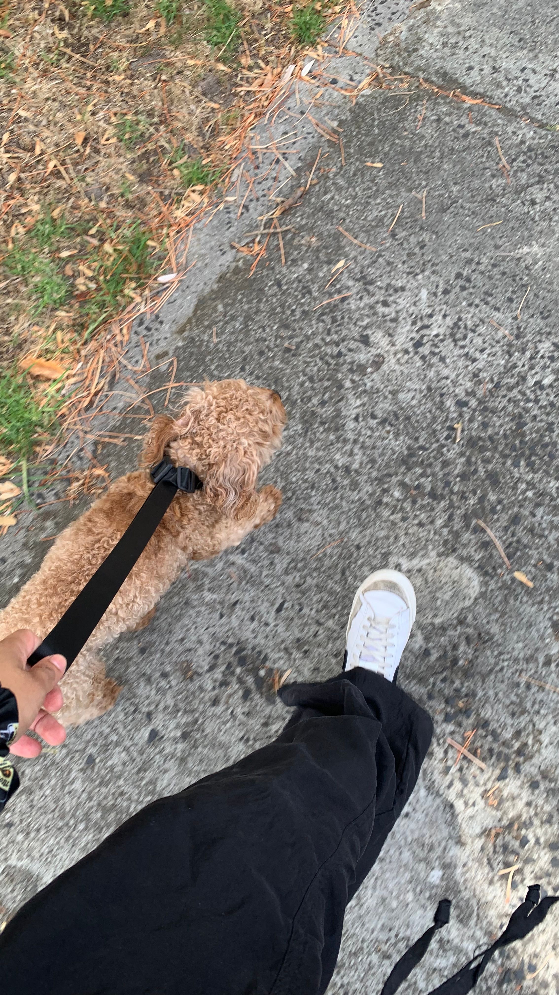 image-6