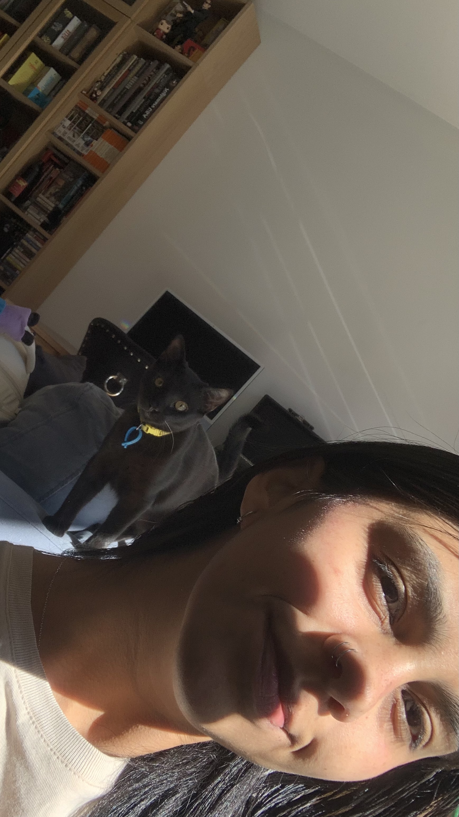 image-1
