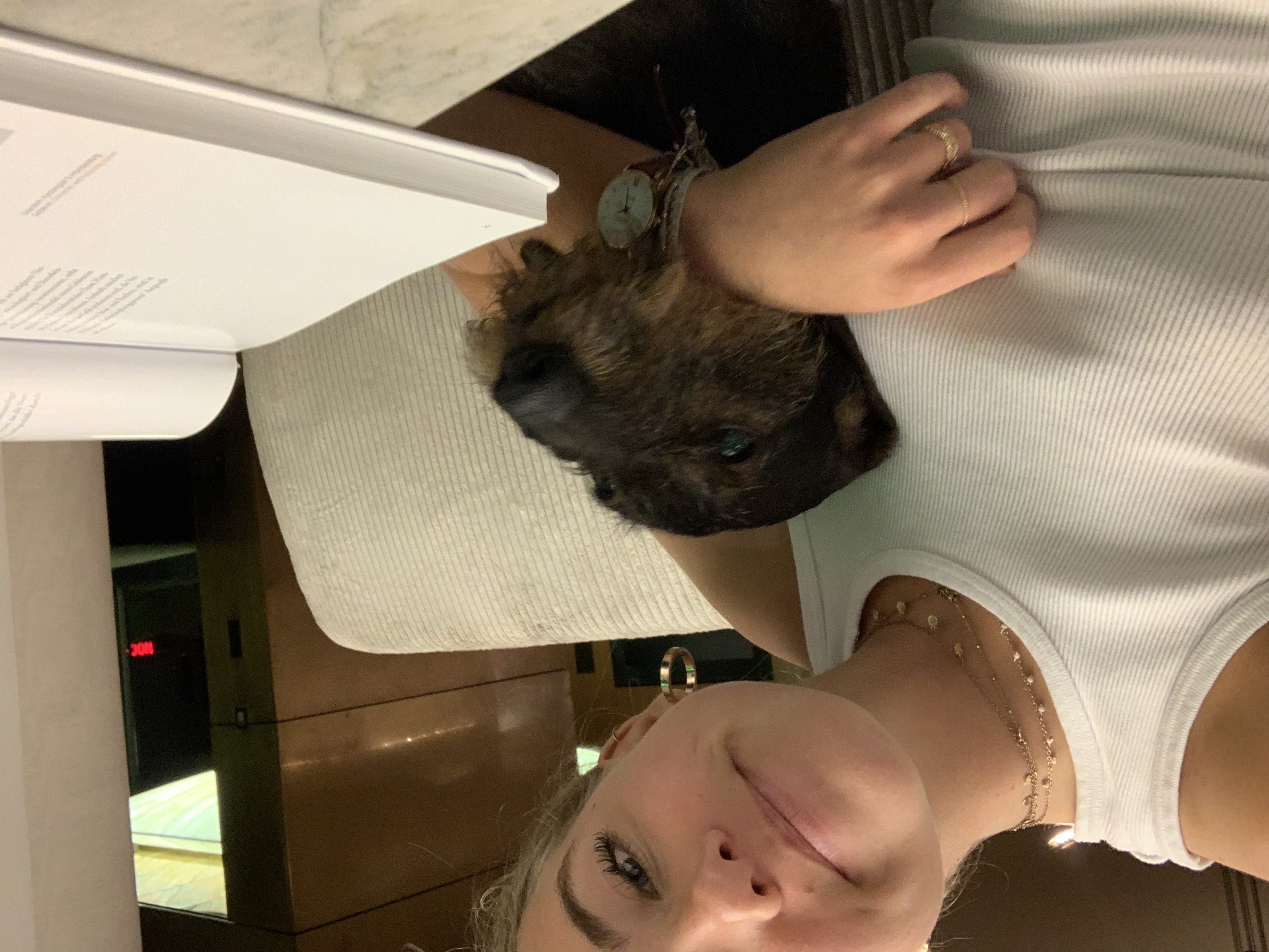 image-10