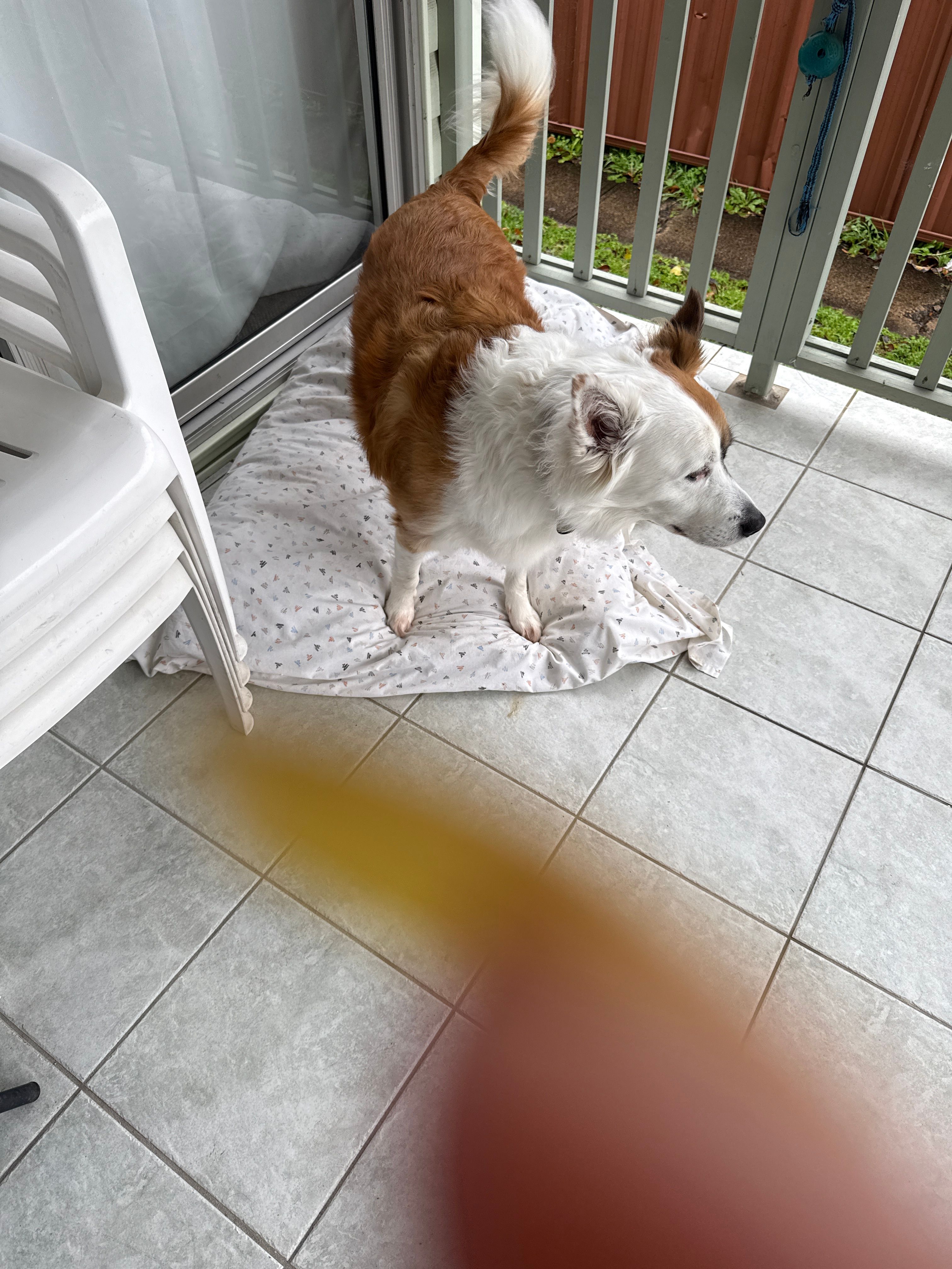 image-16