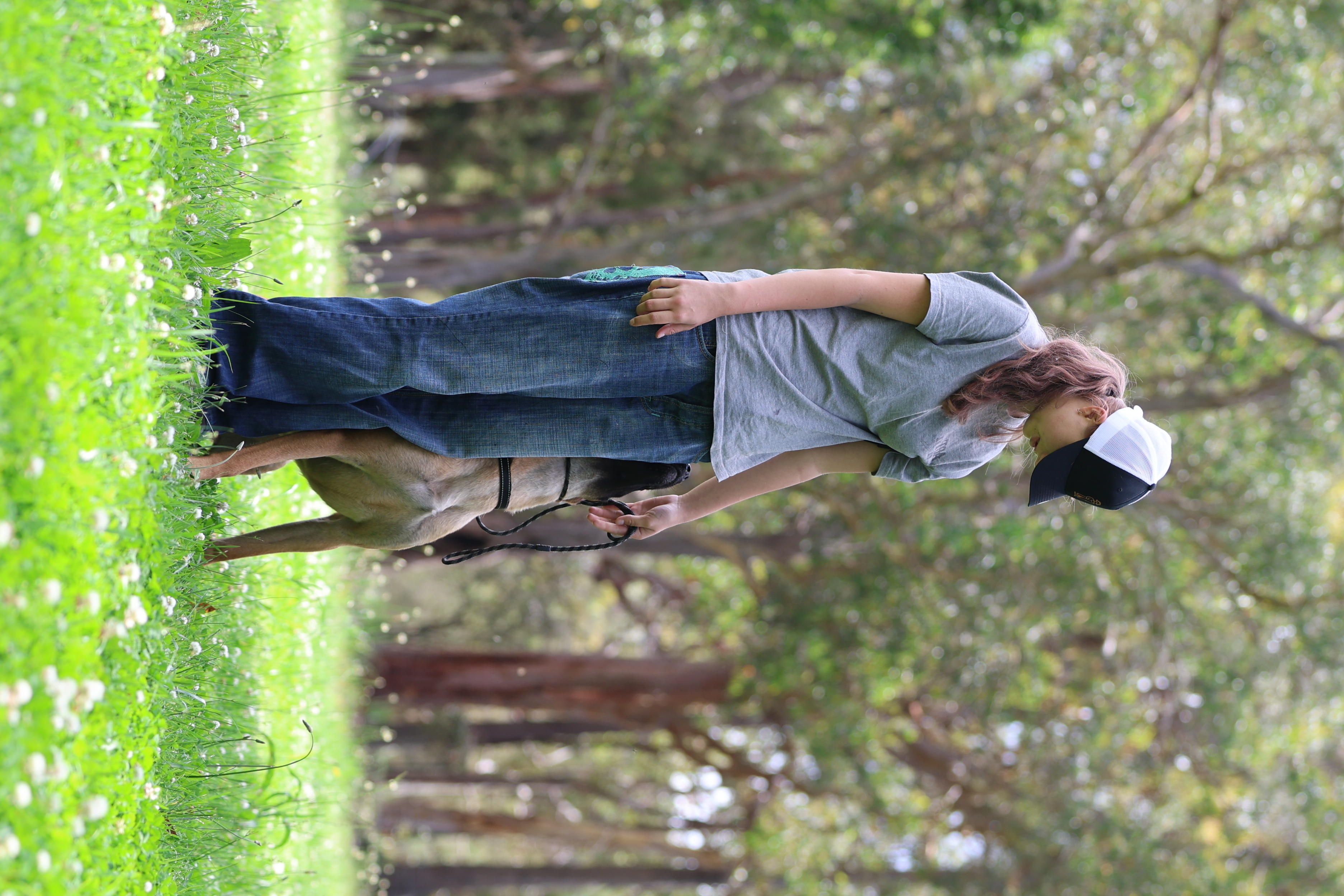 image-4