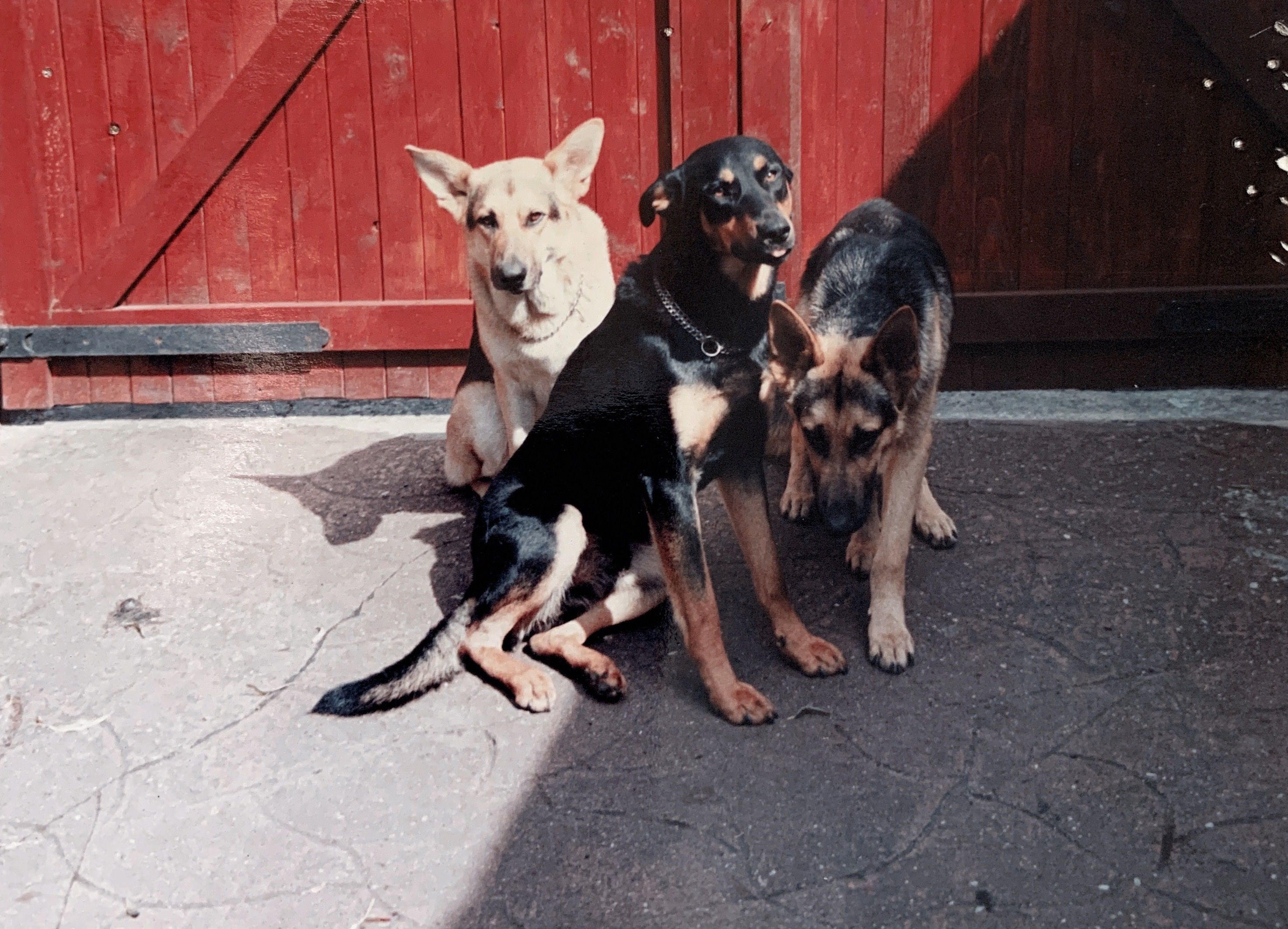 image-7