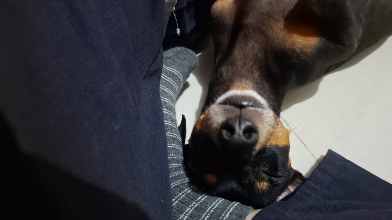 image-4