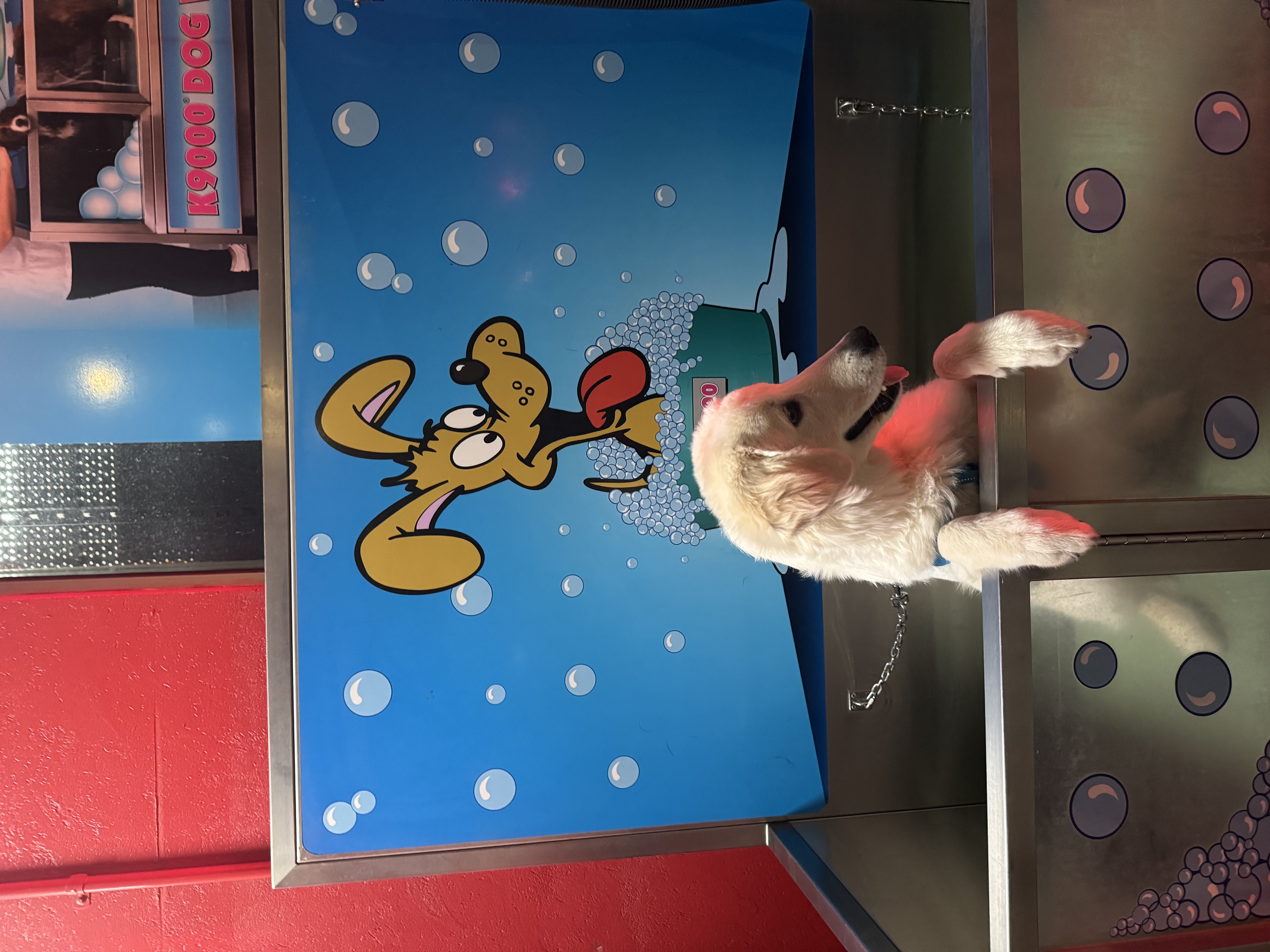 image-8
