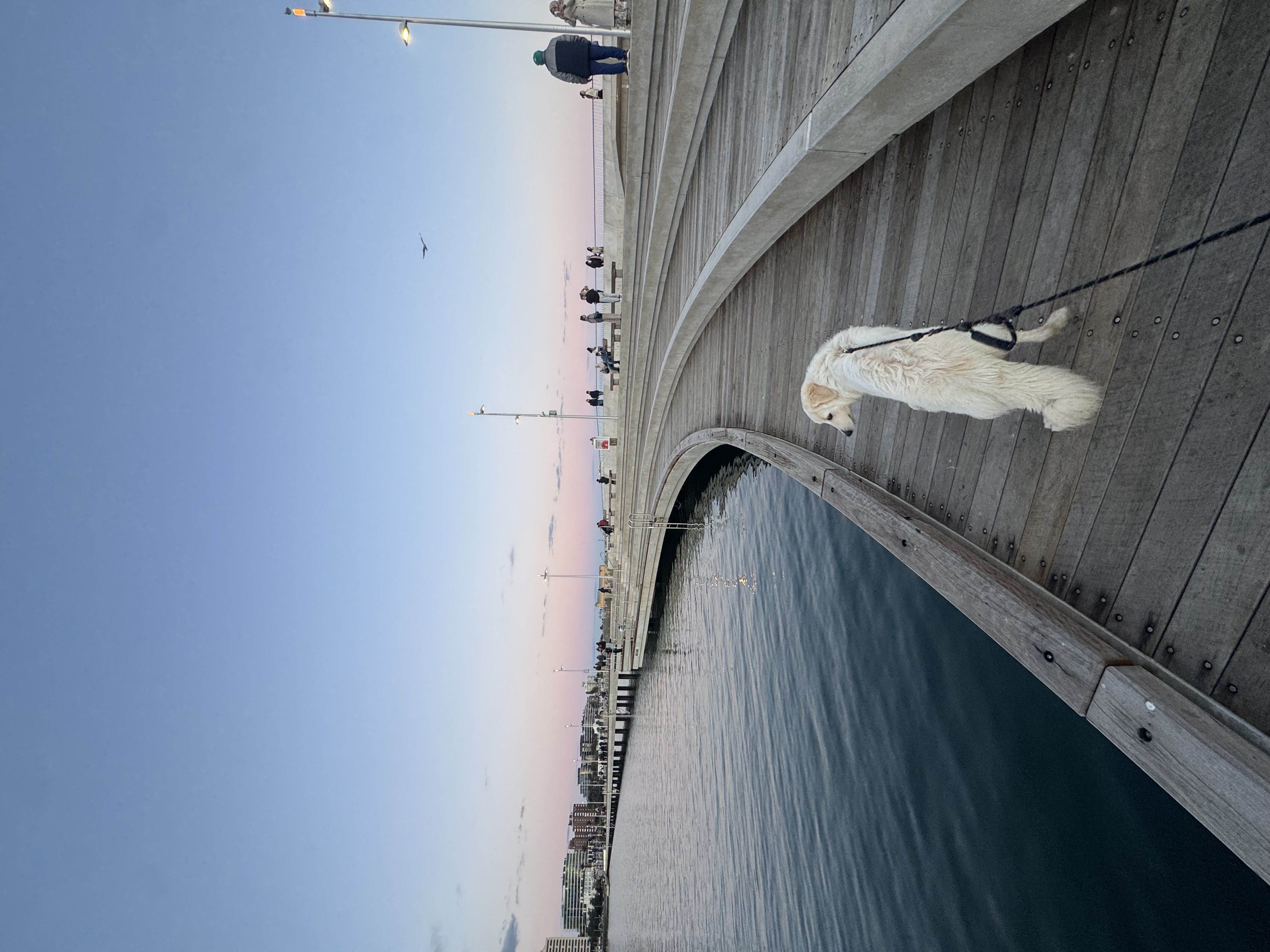 image-17