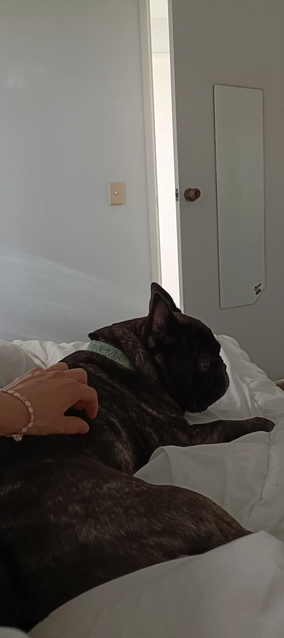 image-4