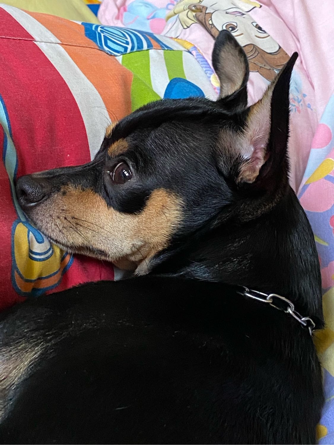 image-6