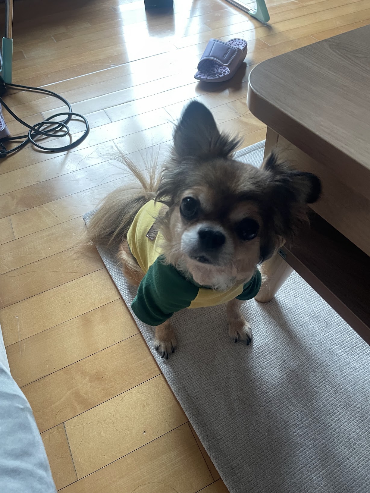 image-6