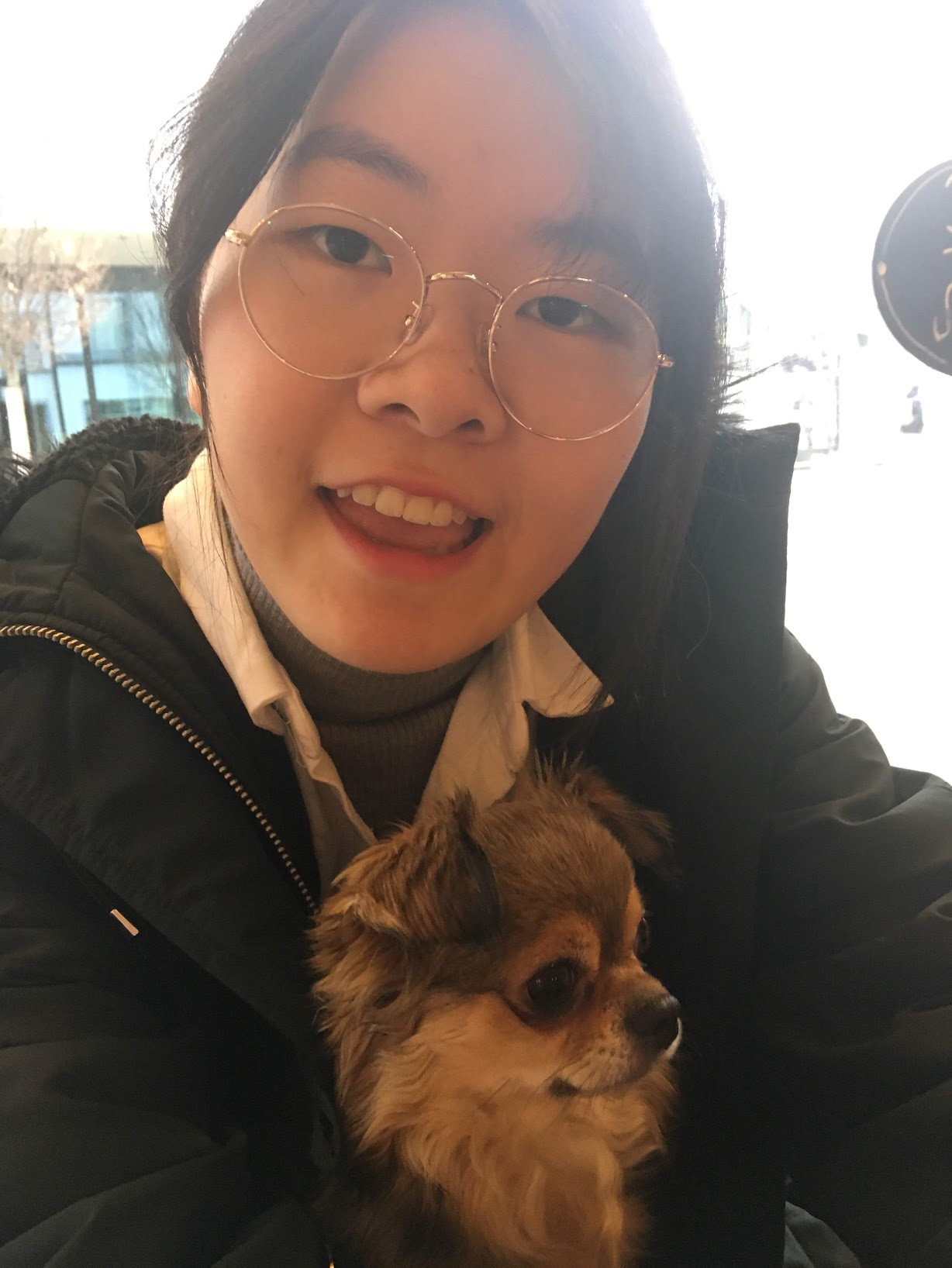 image-12