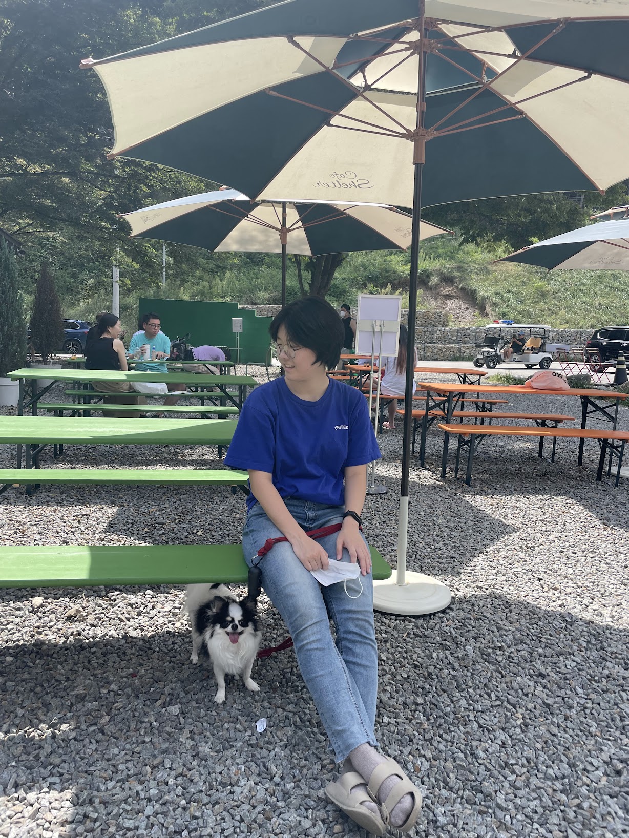 image-14