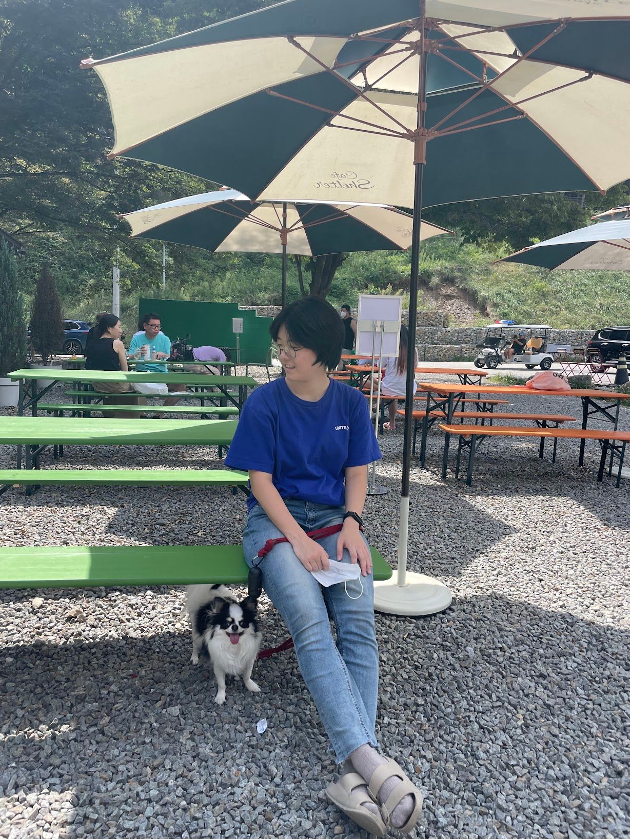 image-14