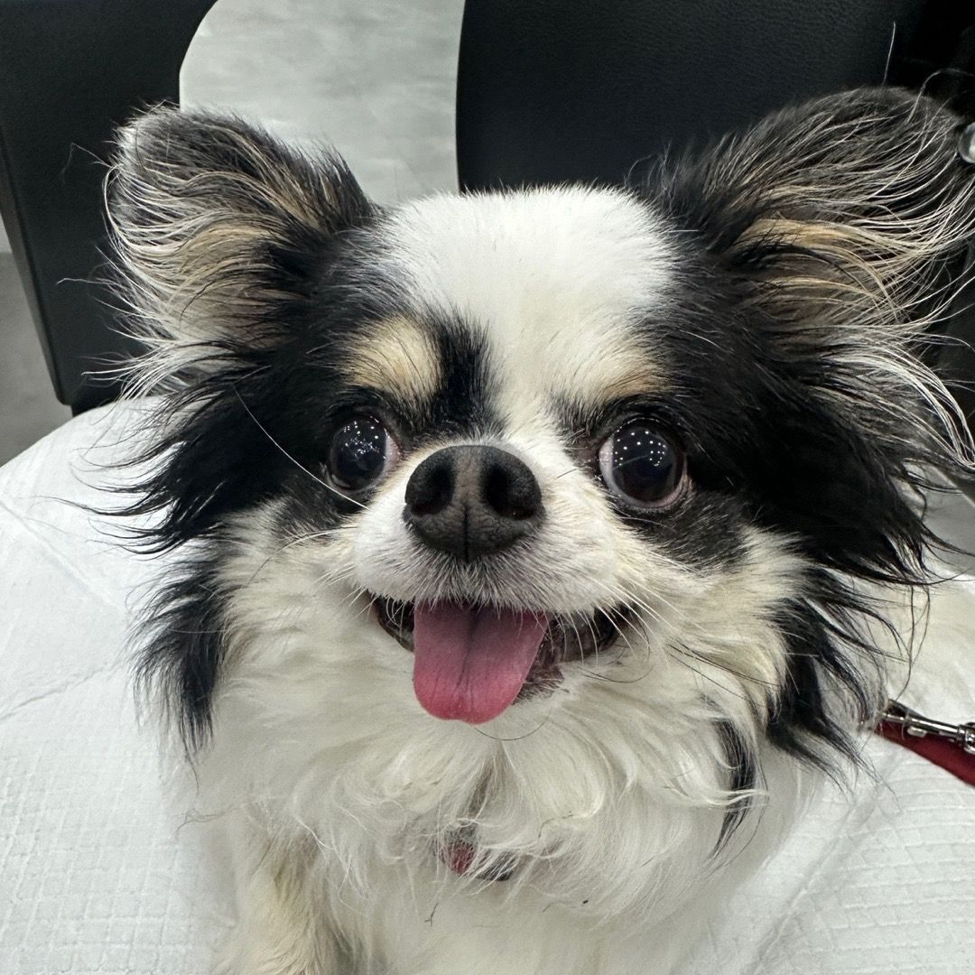 Mickey