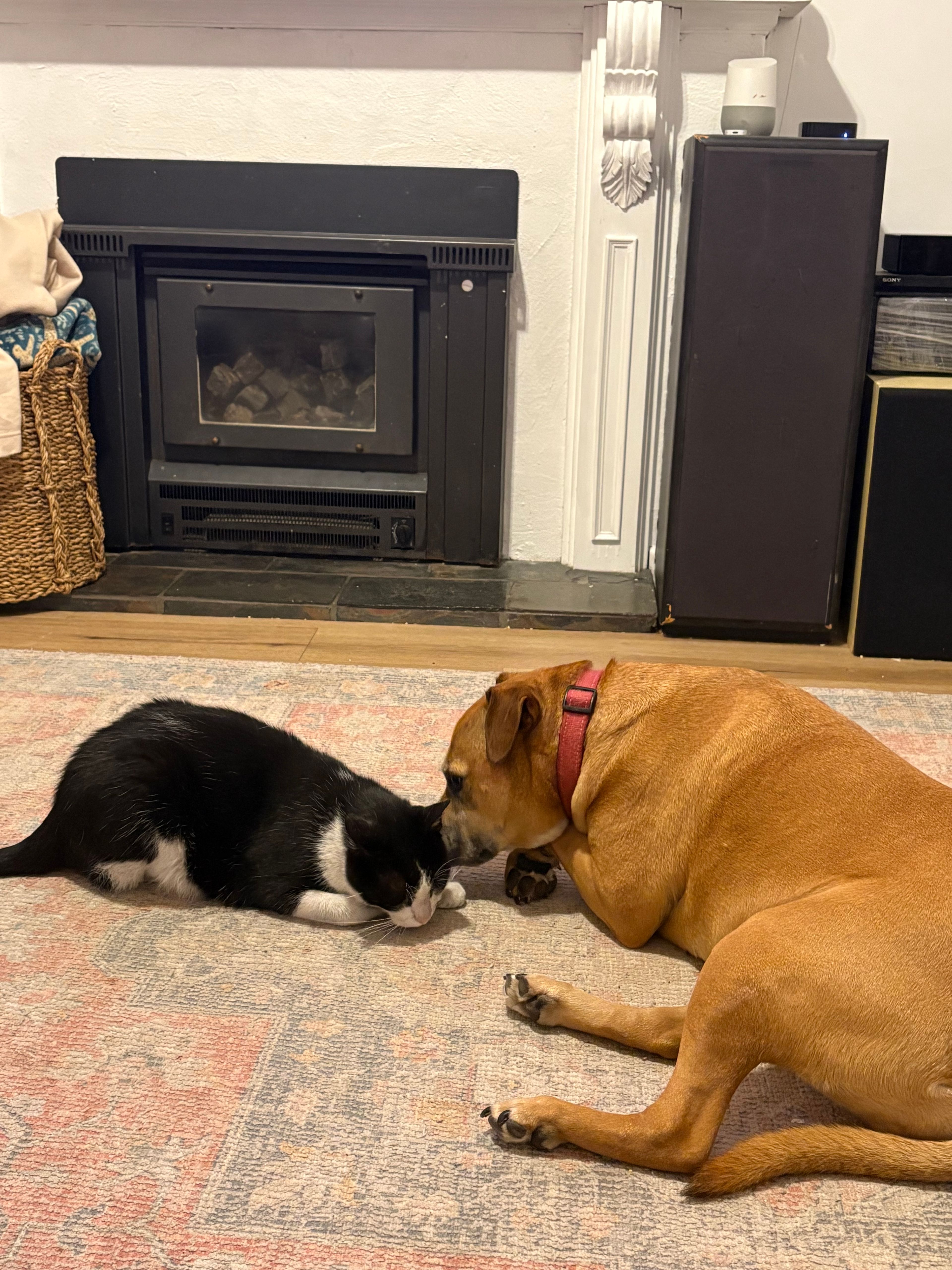 image-13